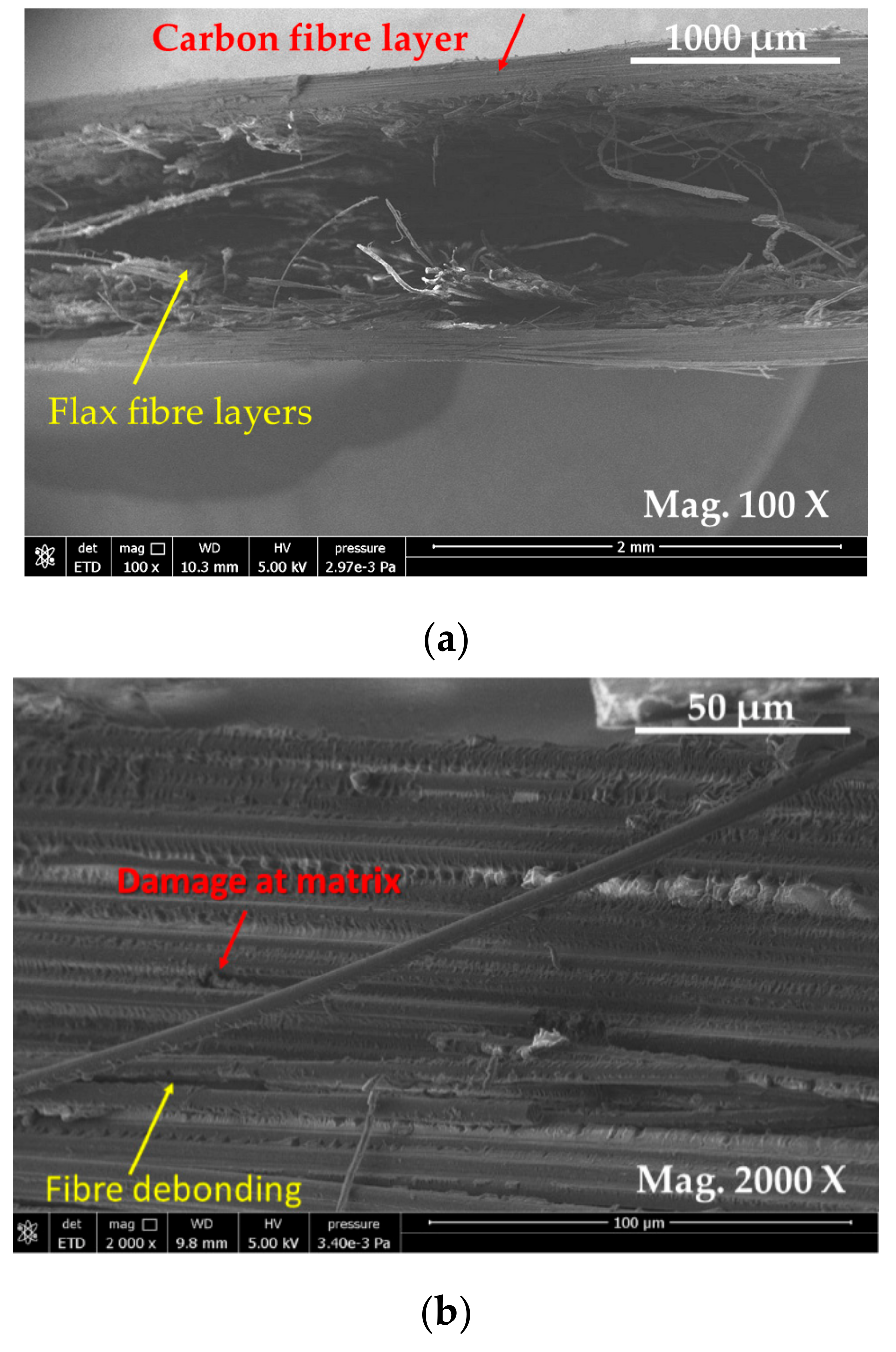 Materials 13 00109 g010a