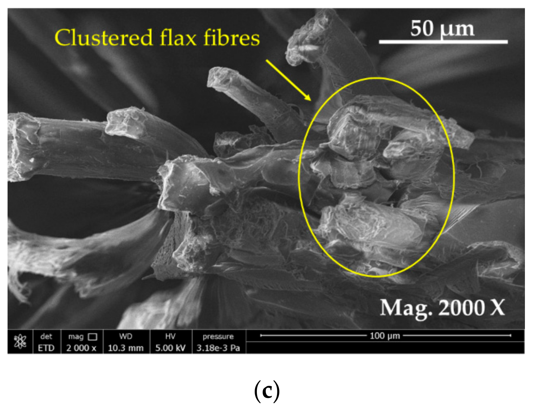 Materials 13 00109 g010b