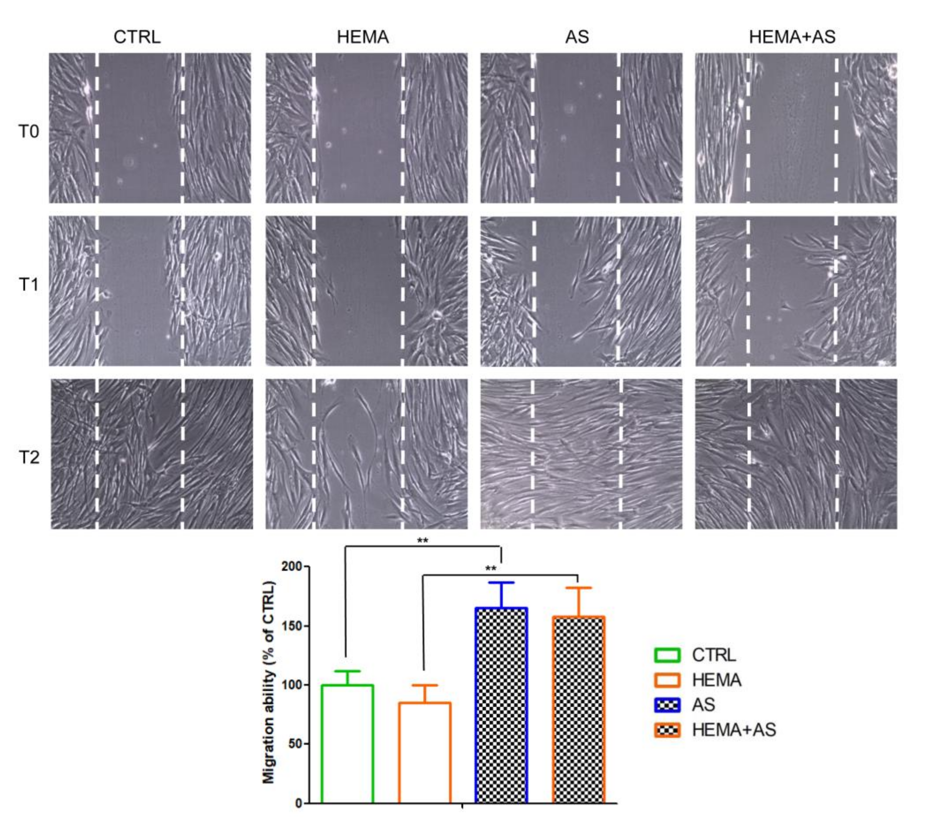 Materials 13 00130 g003 Materials 13 00130 g003