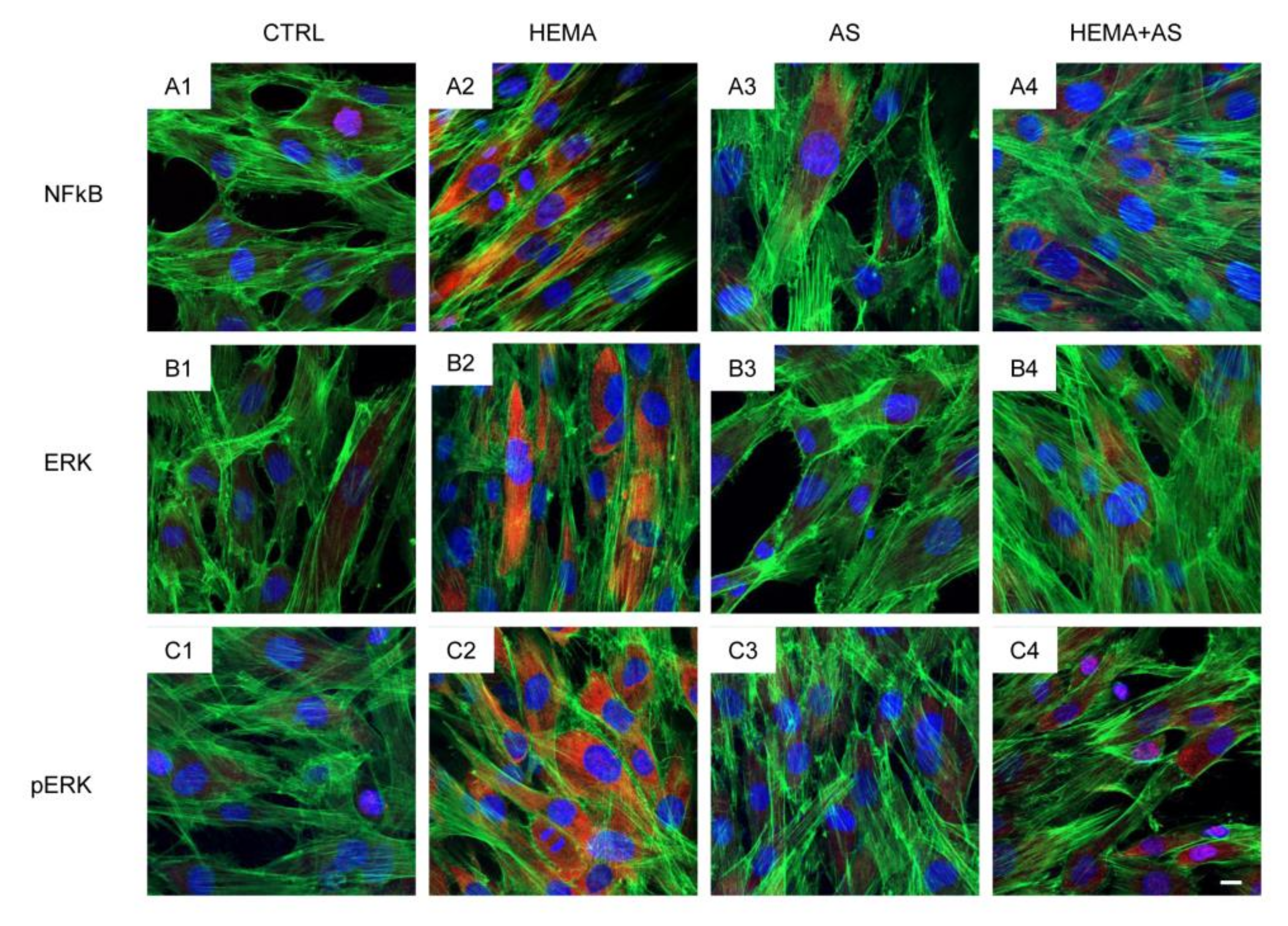 Materials 13 00130 g004 Materials 13 00130 g004