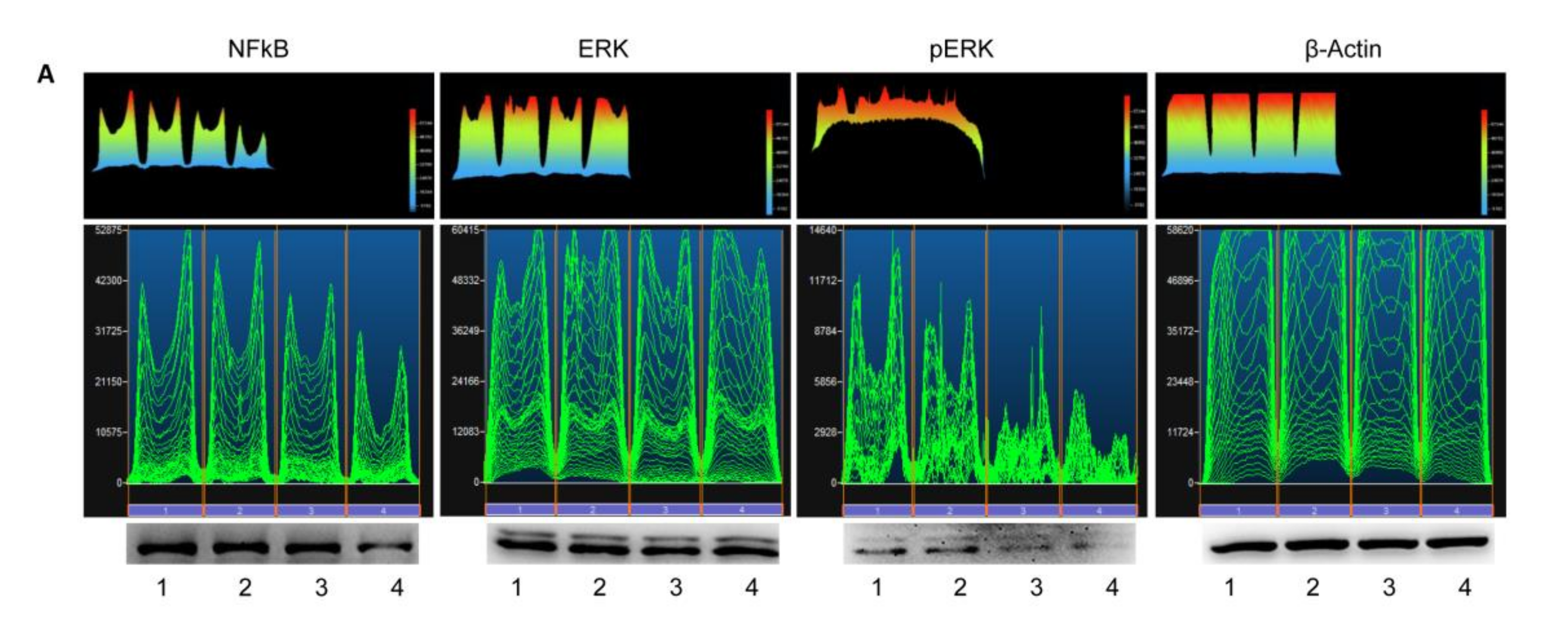 Materials 13 00130 g005a Materials 13 00130 g005a