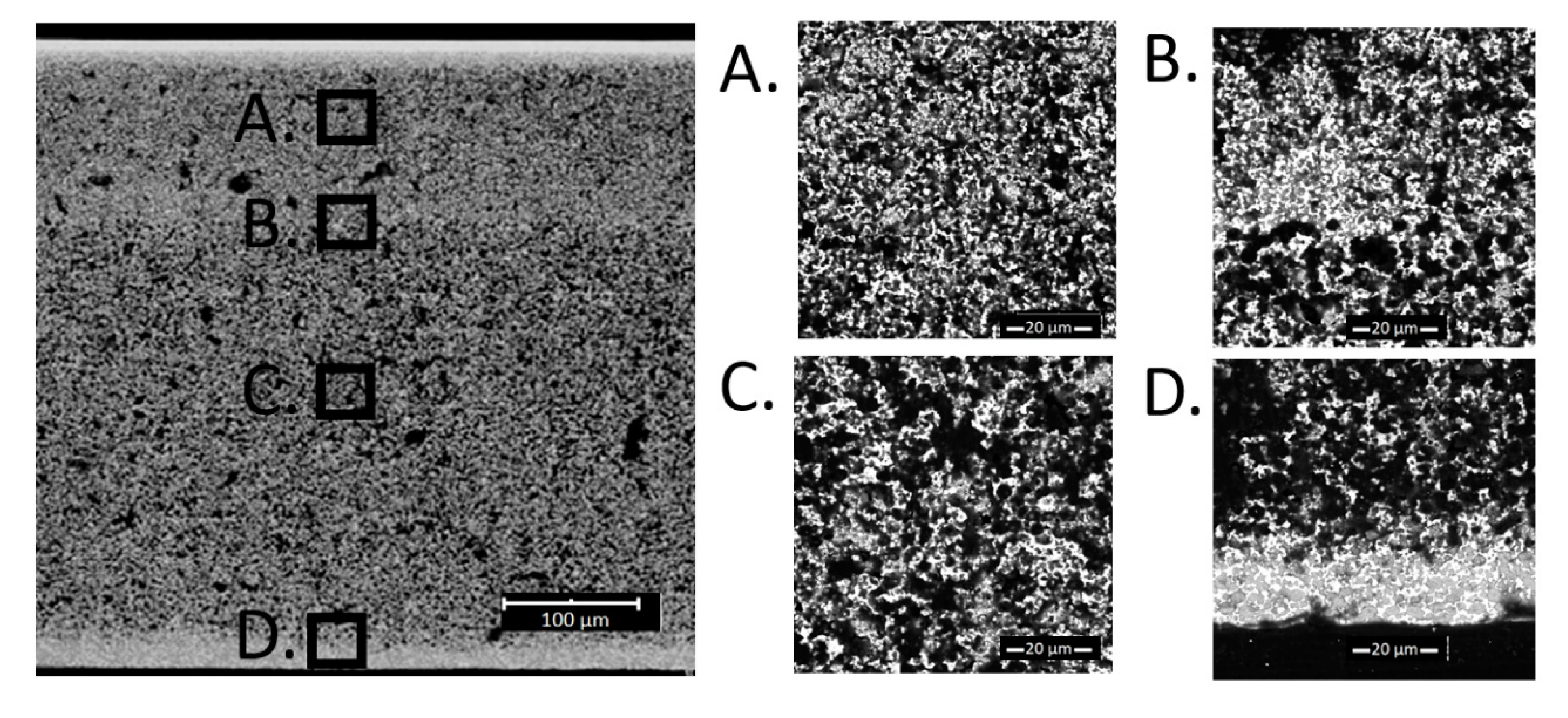 Materials 13 00131 g006