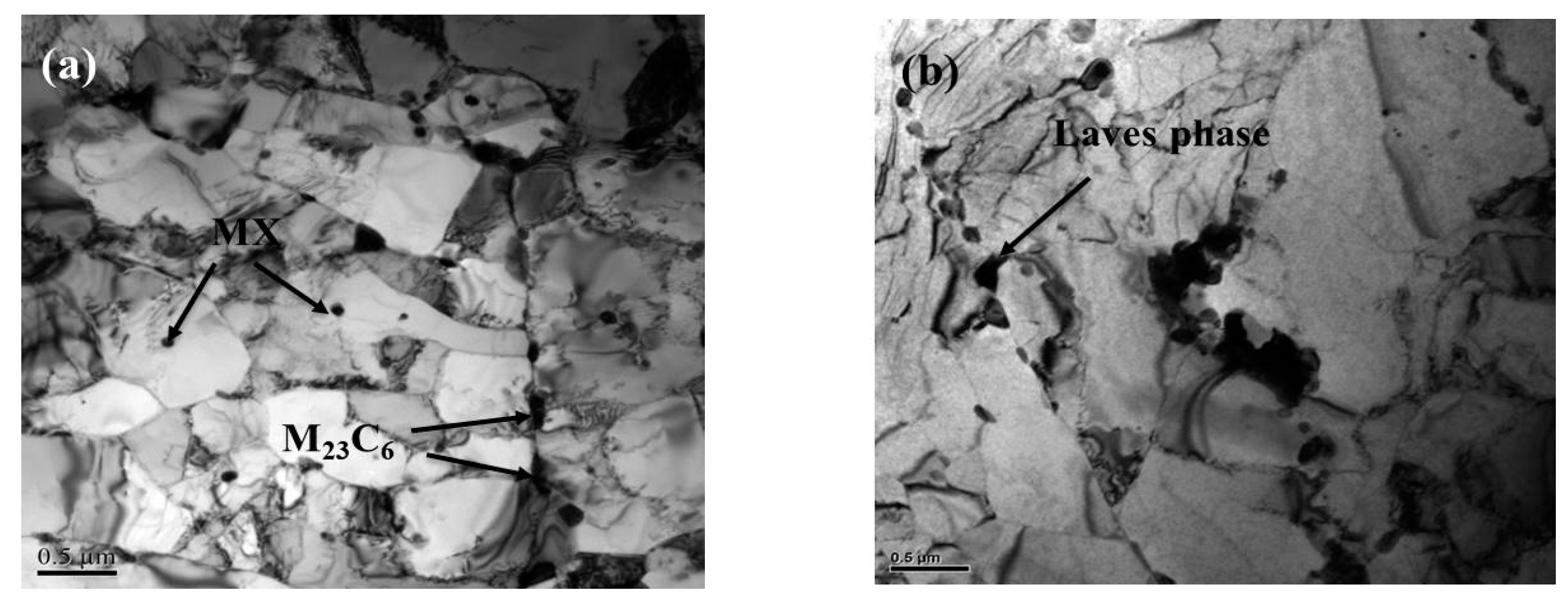 Materials 13 00154 g001a