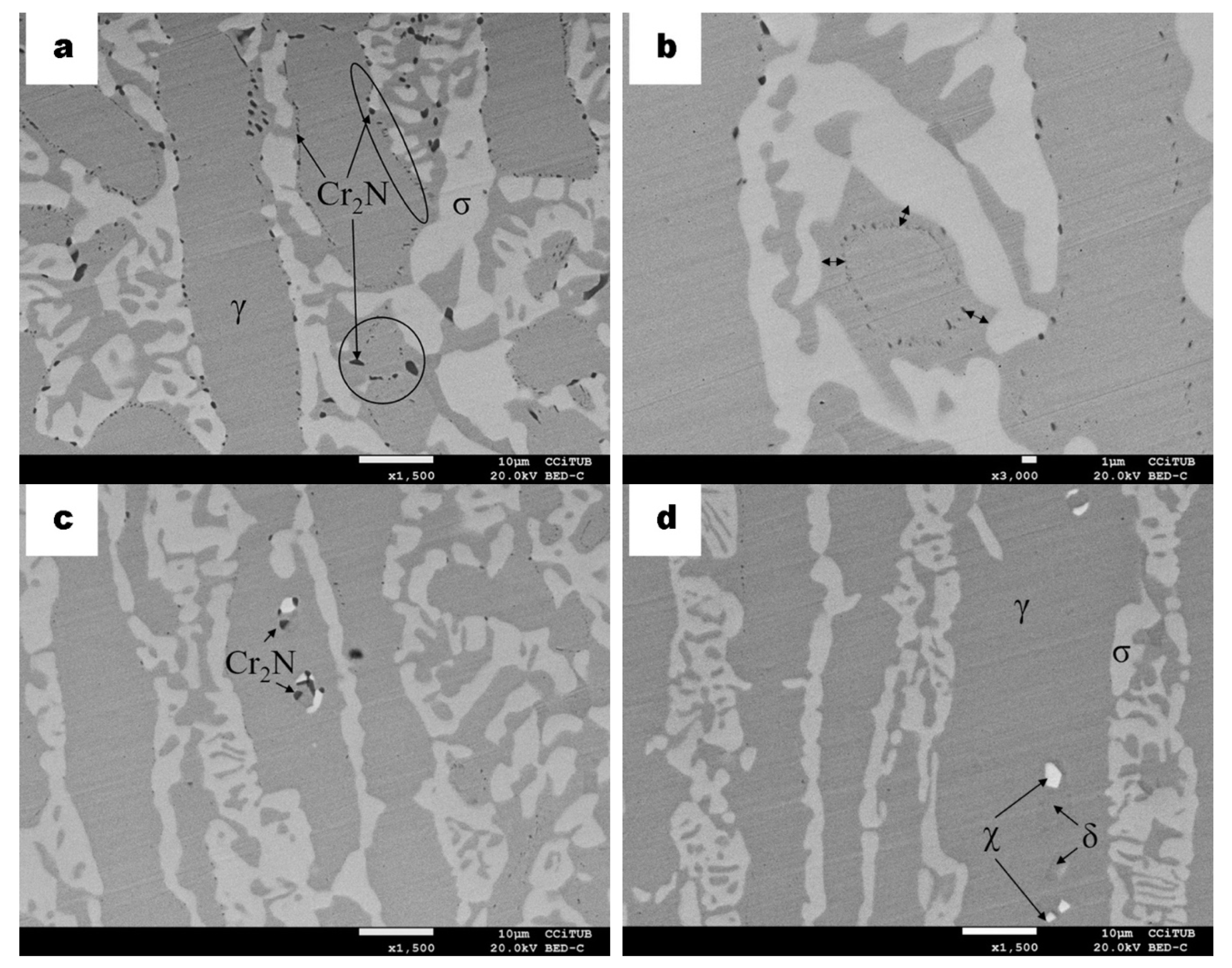 Materials 13 00165 g007