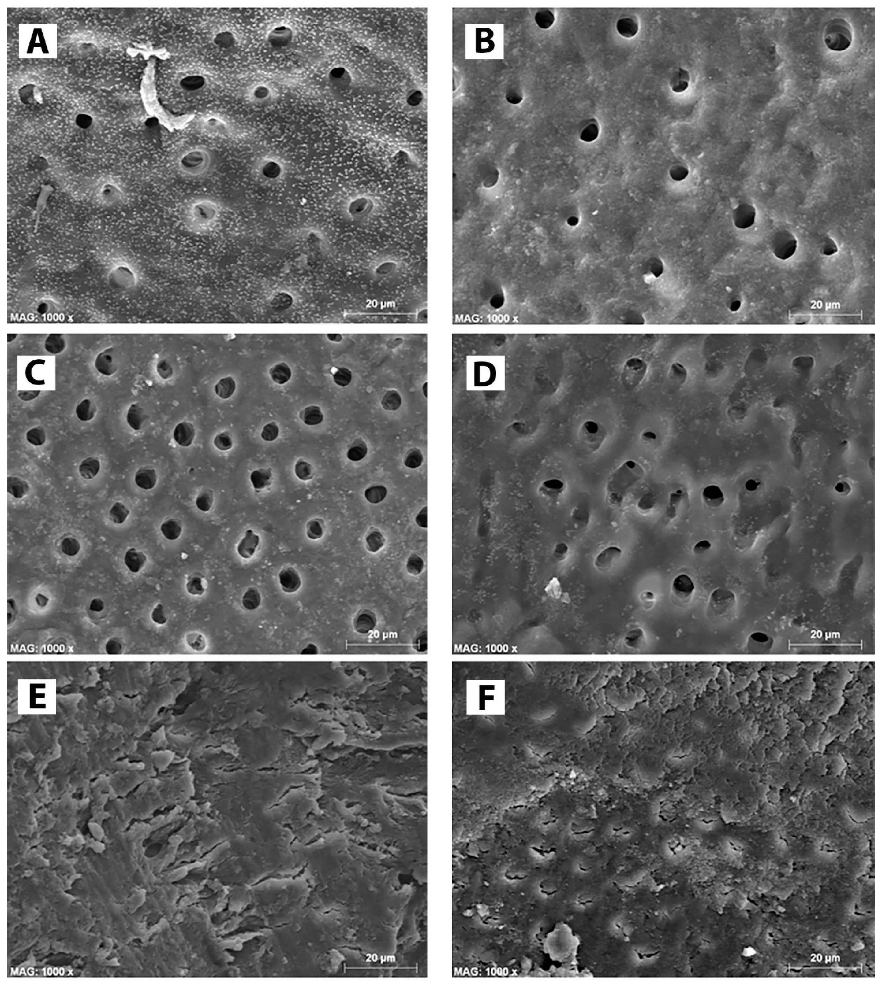 Materials 13 00194 g002