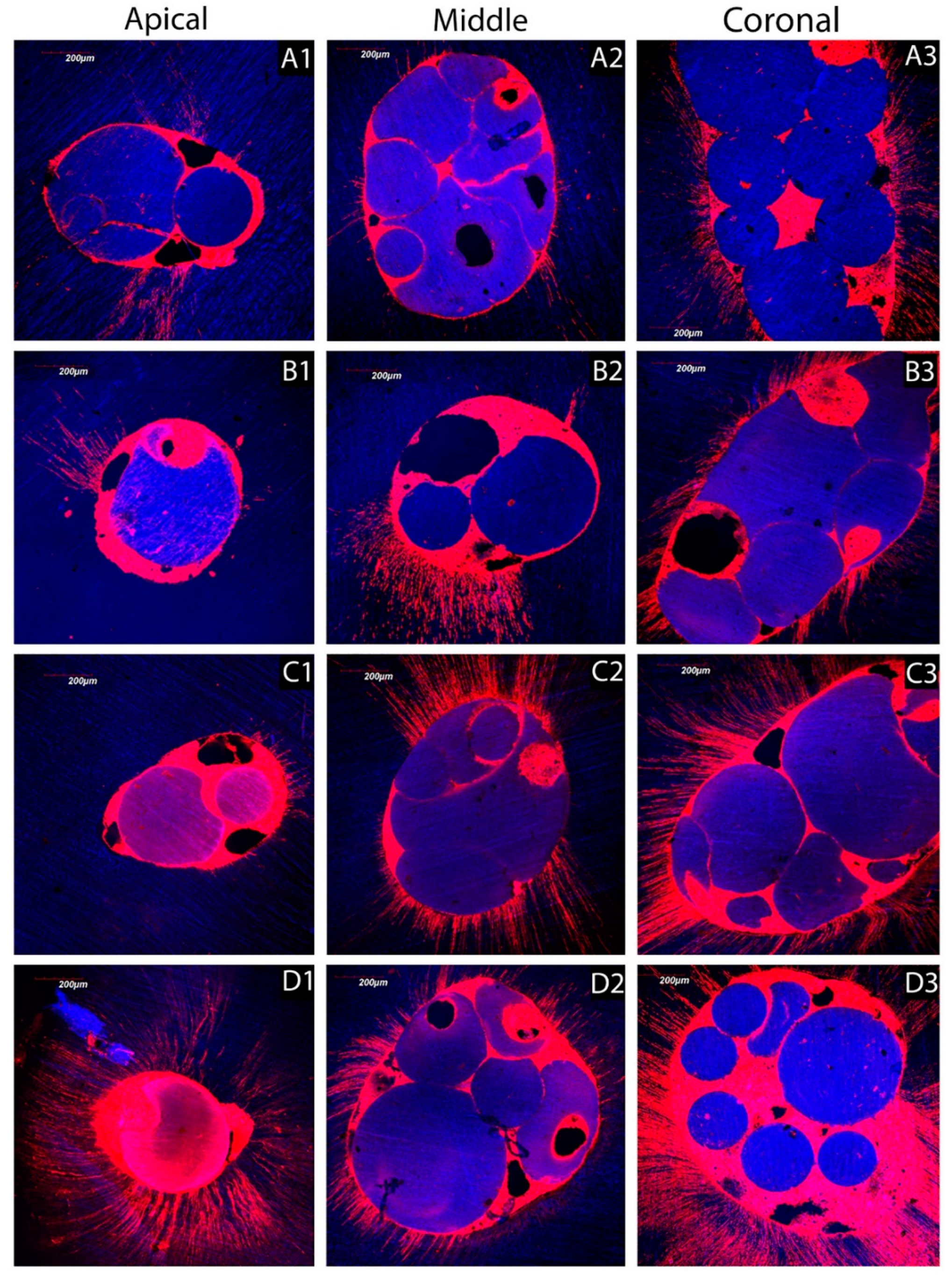 Materials 13 00194 g005