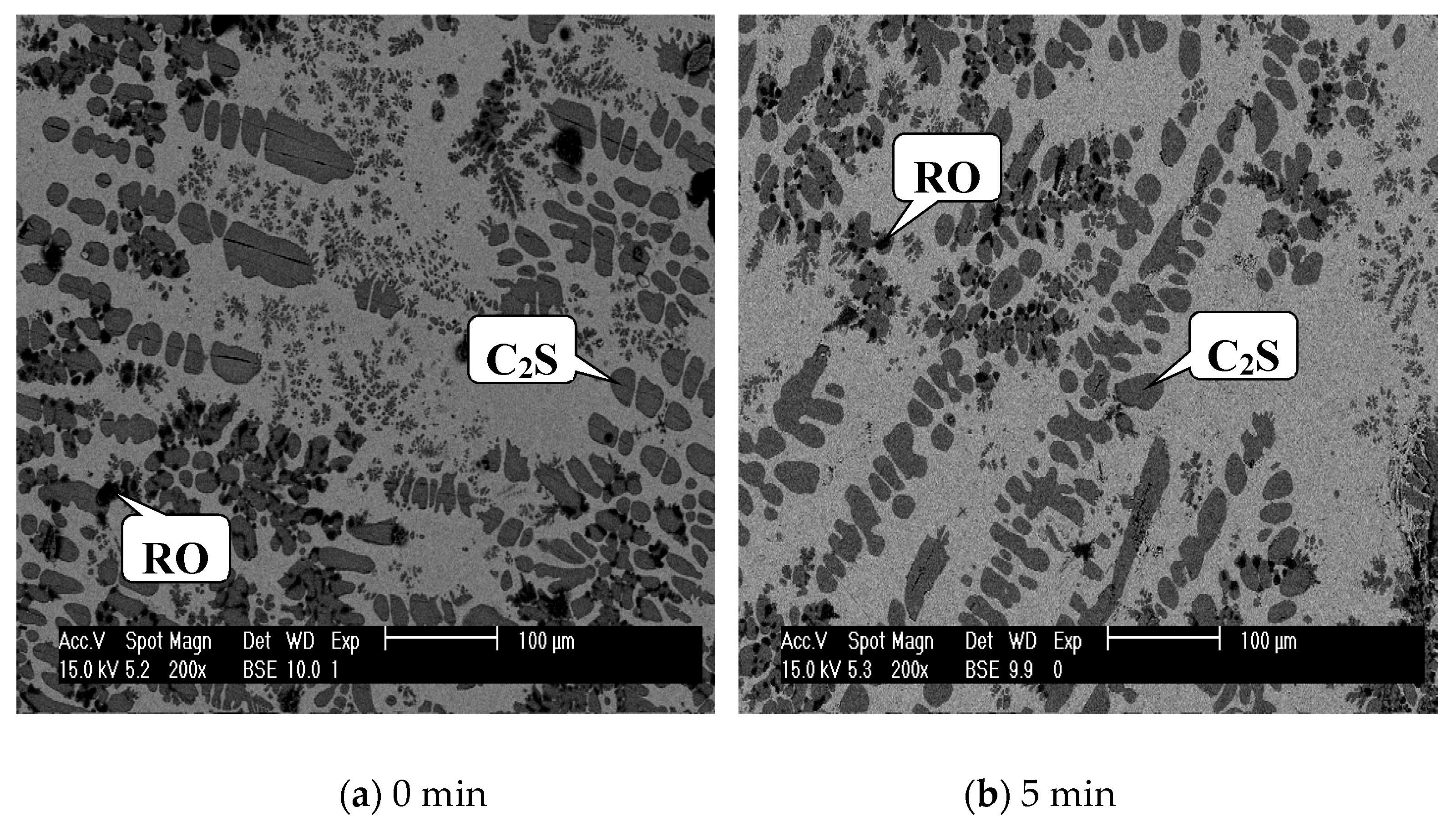 Materials 13 00203 g001a Materials 13 00203 g001a