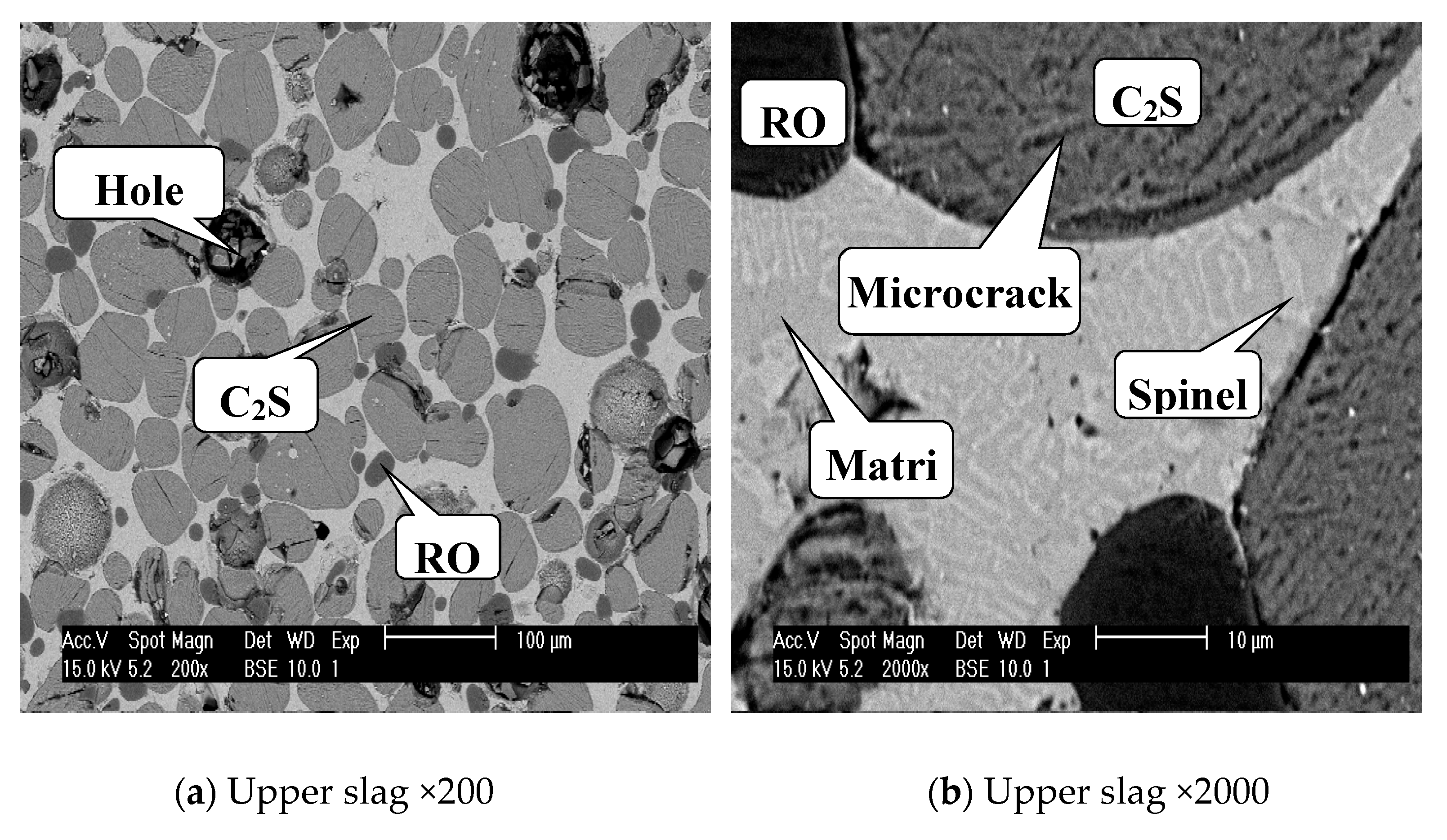 Materials 13 00203 g004a Materials 13 00203 g004a