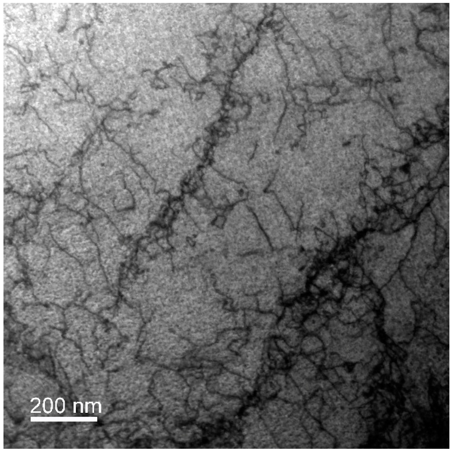 Materials 13 00208 g005 Materials 13 00208 g005