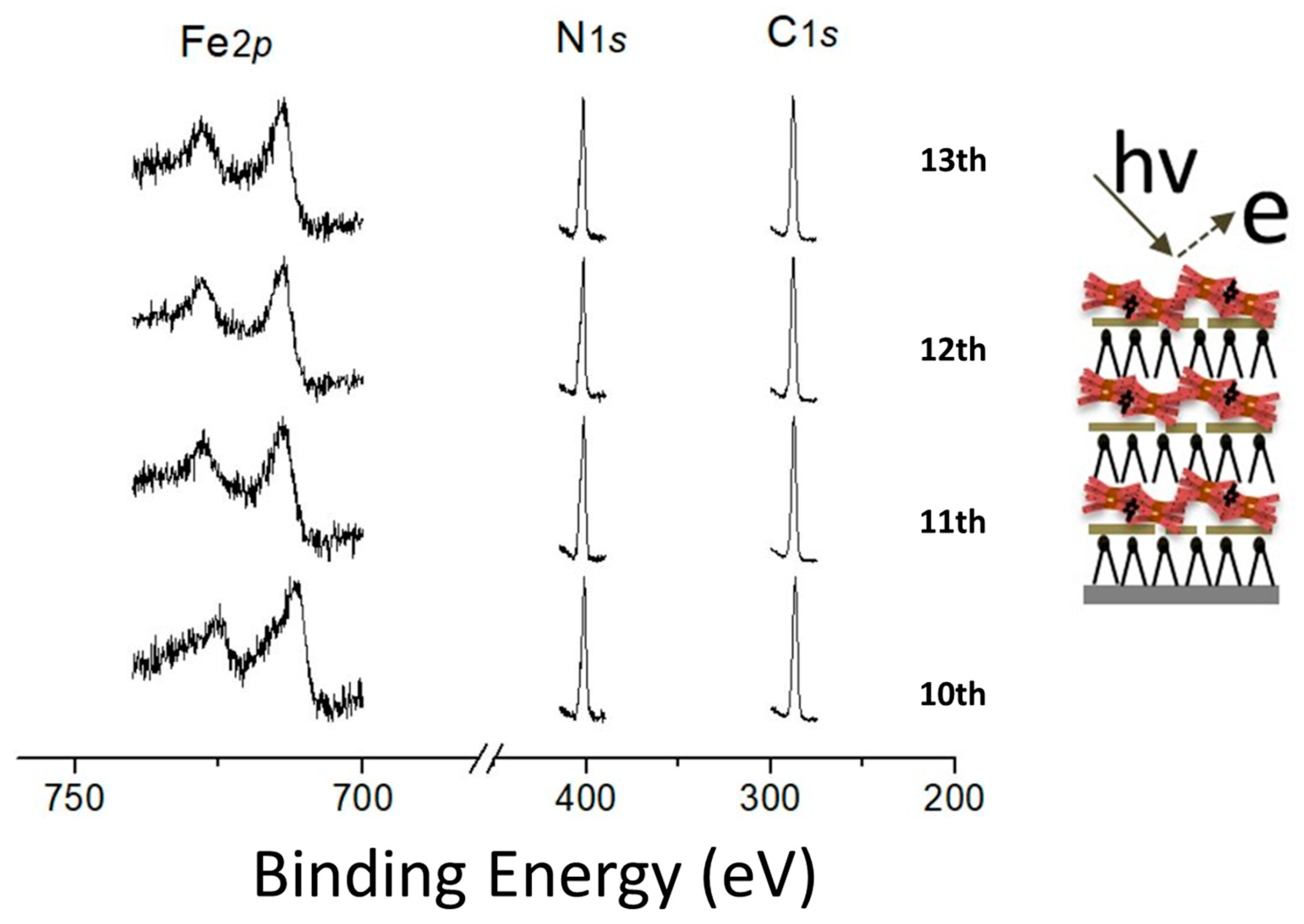 Materials 13 00216 g003 Materials 13 00216 g003