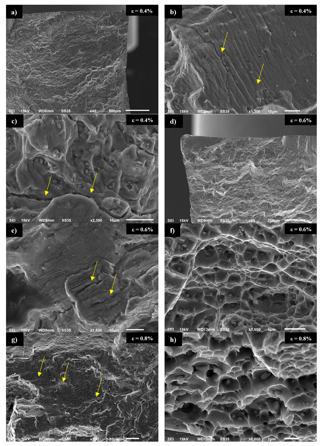 Materials 13 00220 g009 Materials 13 00220 g009