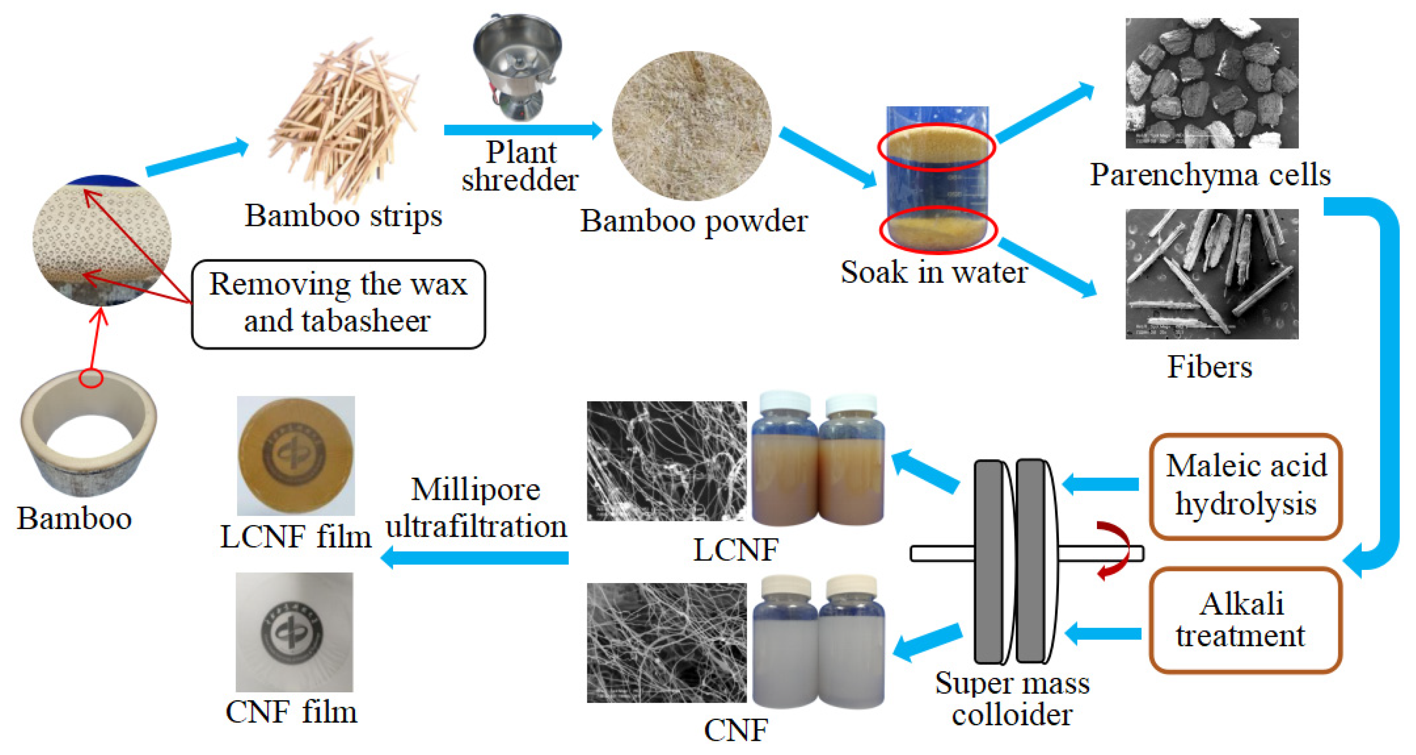 Materials 13 00237 g001 Materials 13 00237 g001