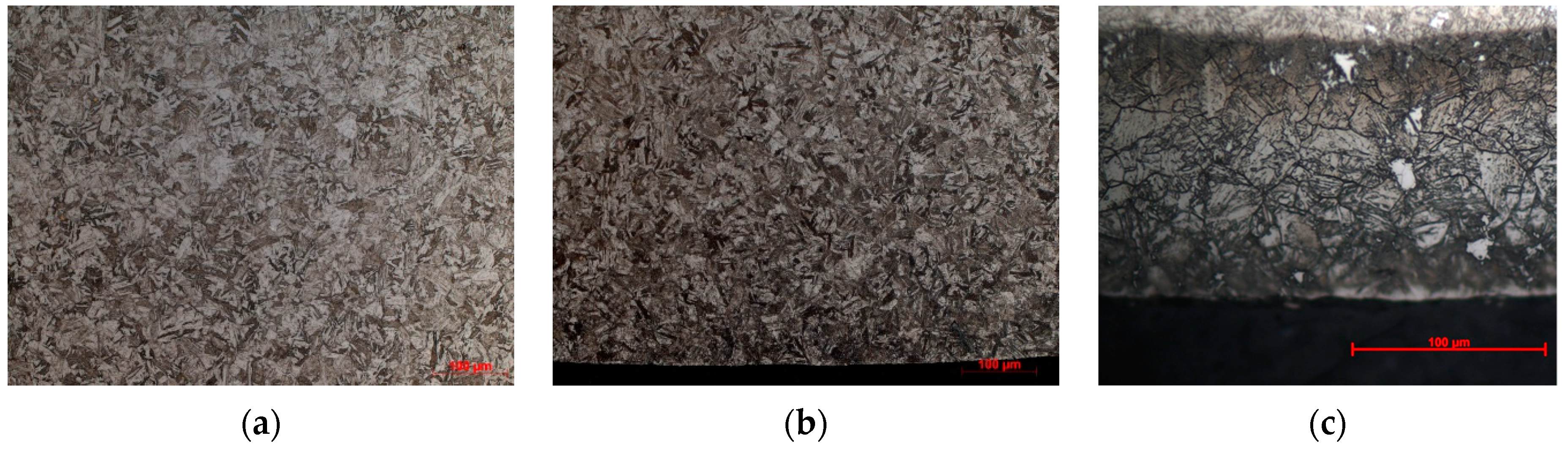 【最安価】CRASH PILE MODIFIED FATIGUE LIDNM S Fatigue Limit of Custom 465 with Surface Strengthening Treatment