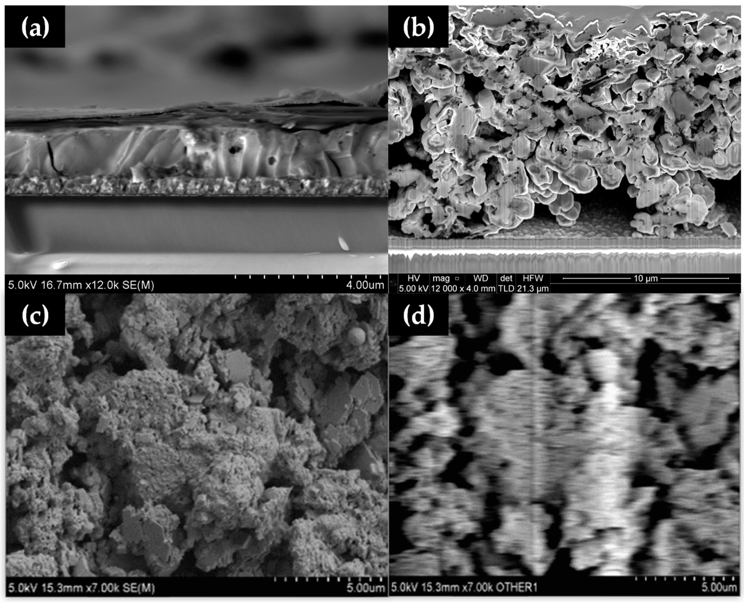 Materials 13 00243 g004 Materials 13 00243 g004
