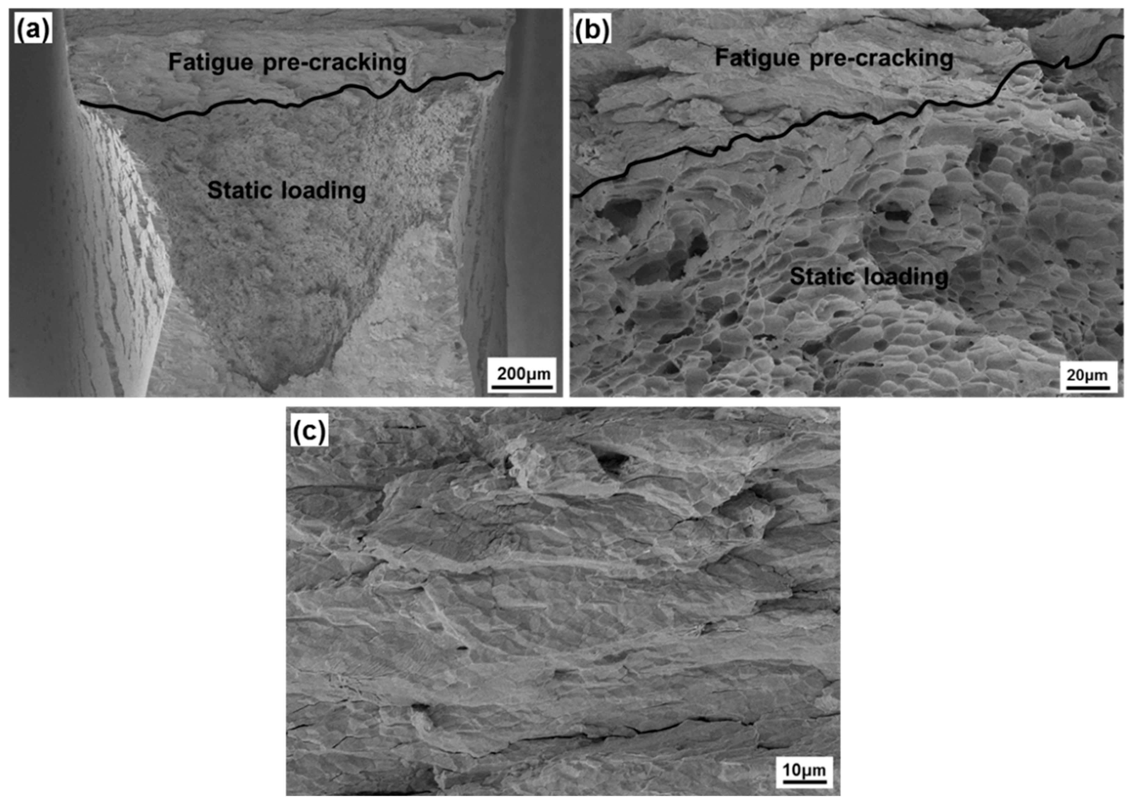 Materials 13 00244 g007 Materials 13 00244 g007