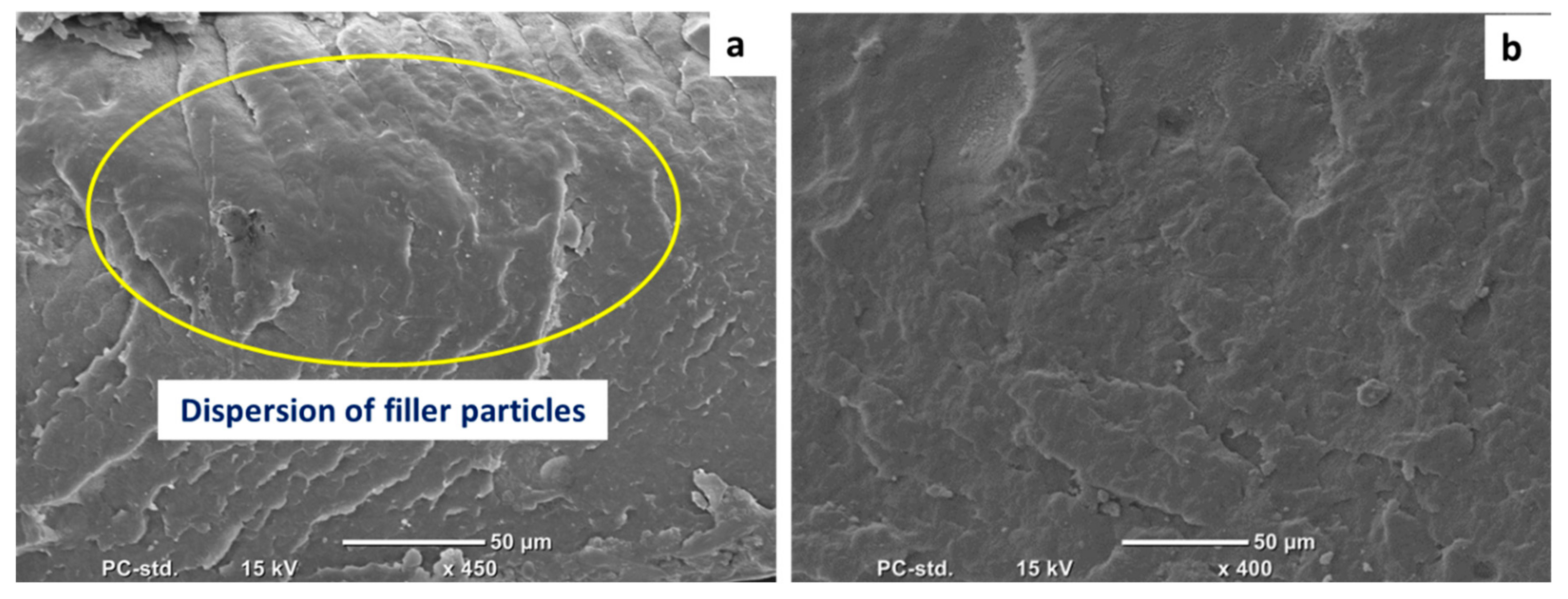 Materials 13 00250 g003 Materials 13 00250 g003