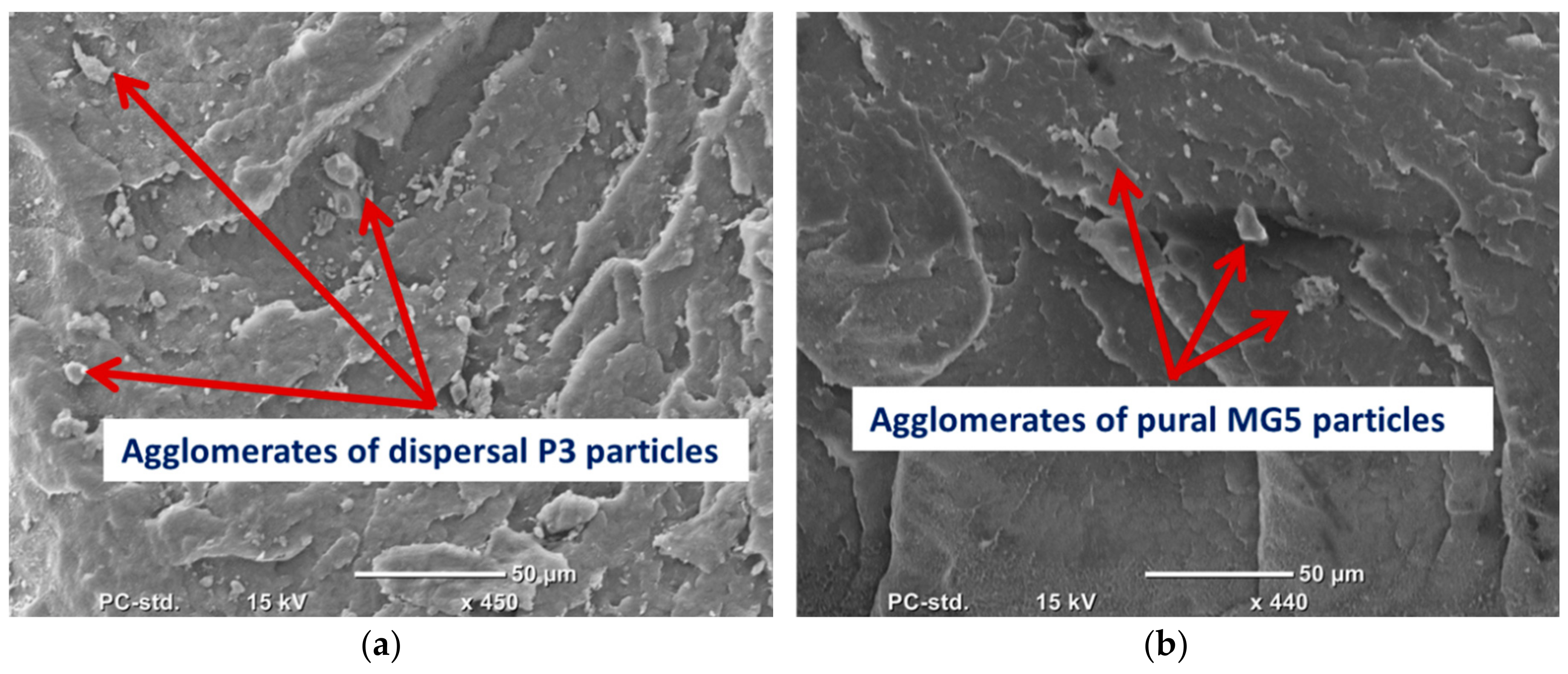 Materials 13 00250 g005 Materials 13 00250 g005