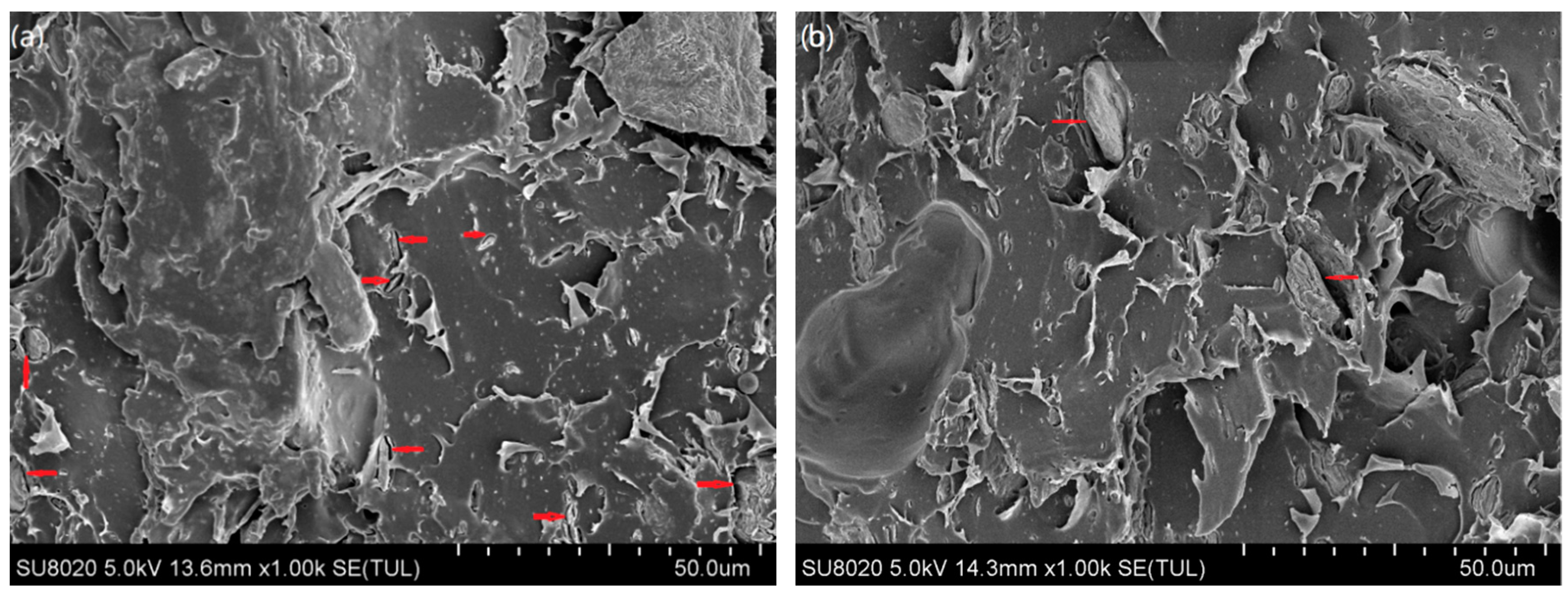 Materials 13 00258 g007a Materials 13 00258 g007a