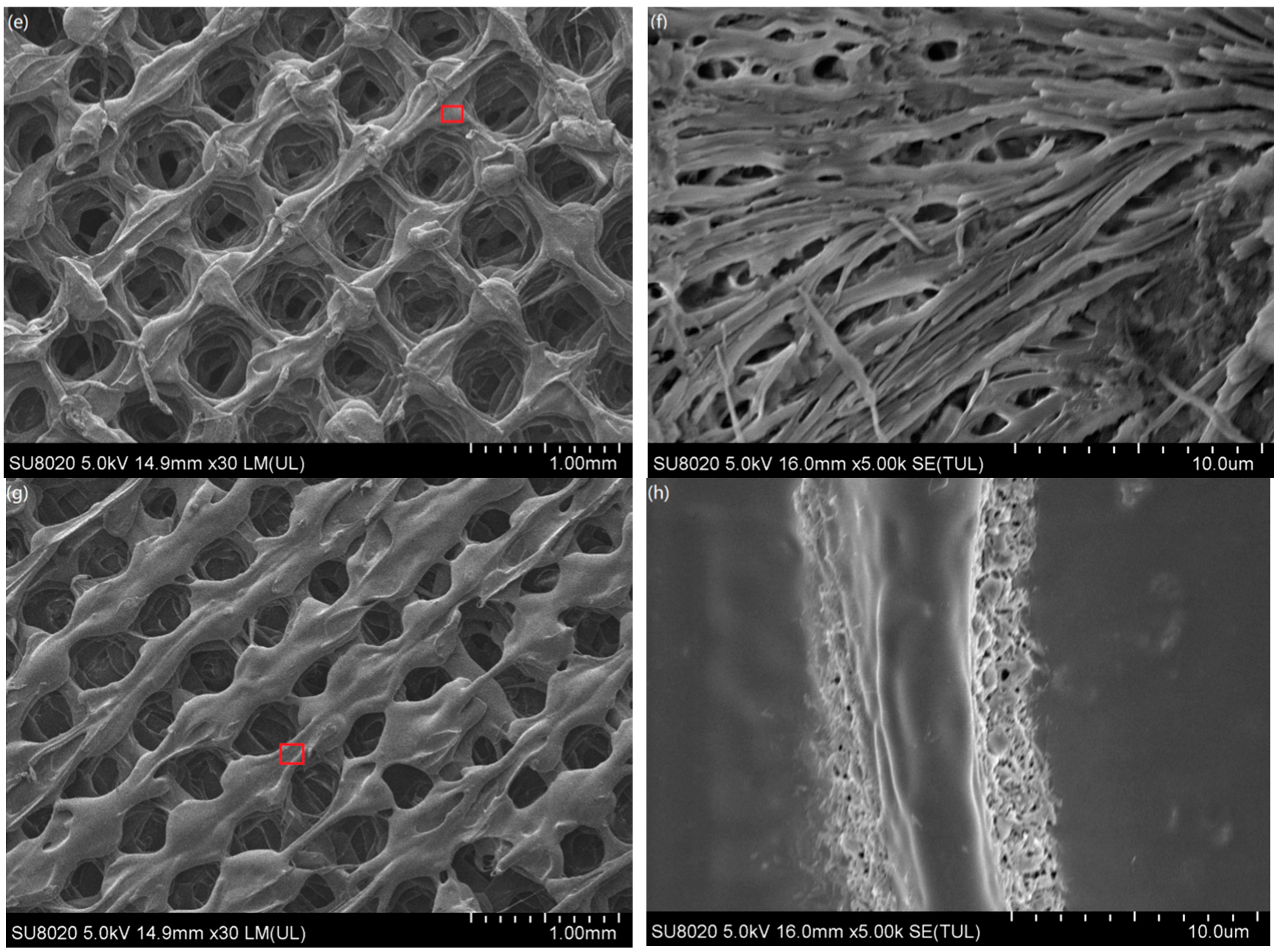 Materials 13 00258 g010b Materials 13 00258 g010b