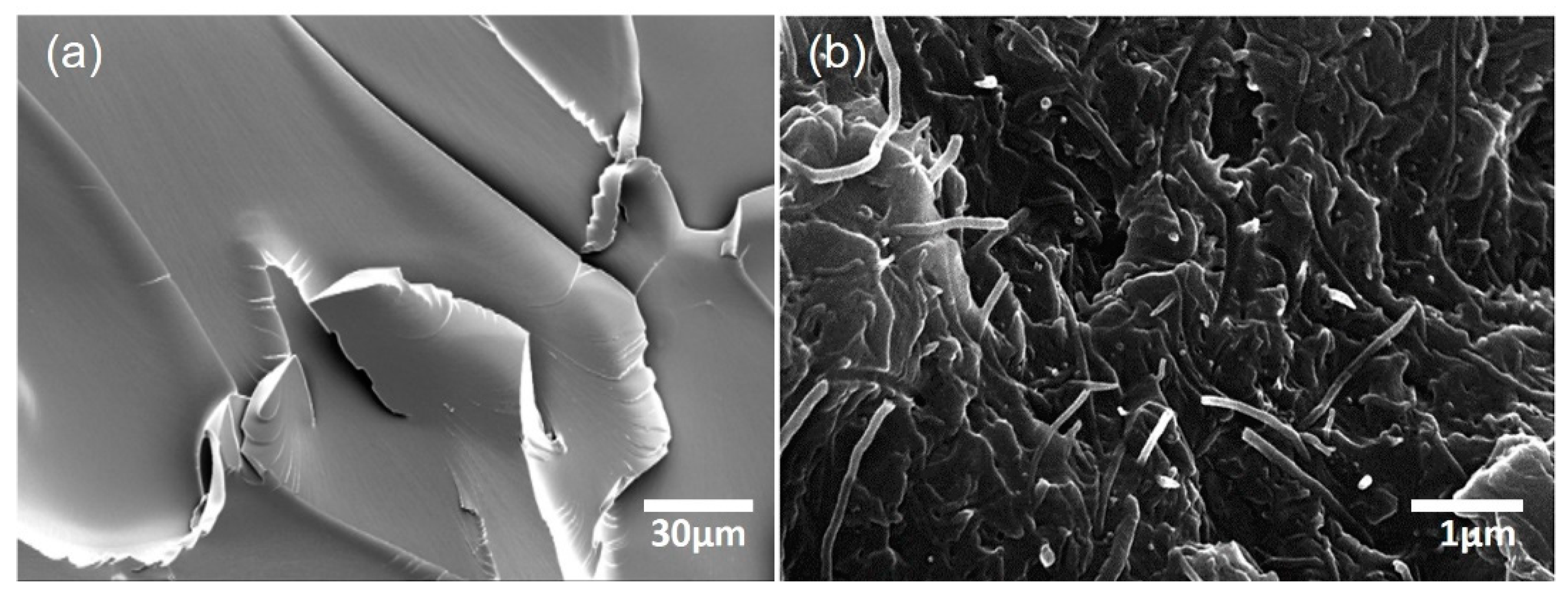Materials 13 00259 g003 Materials 13 00259 g003