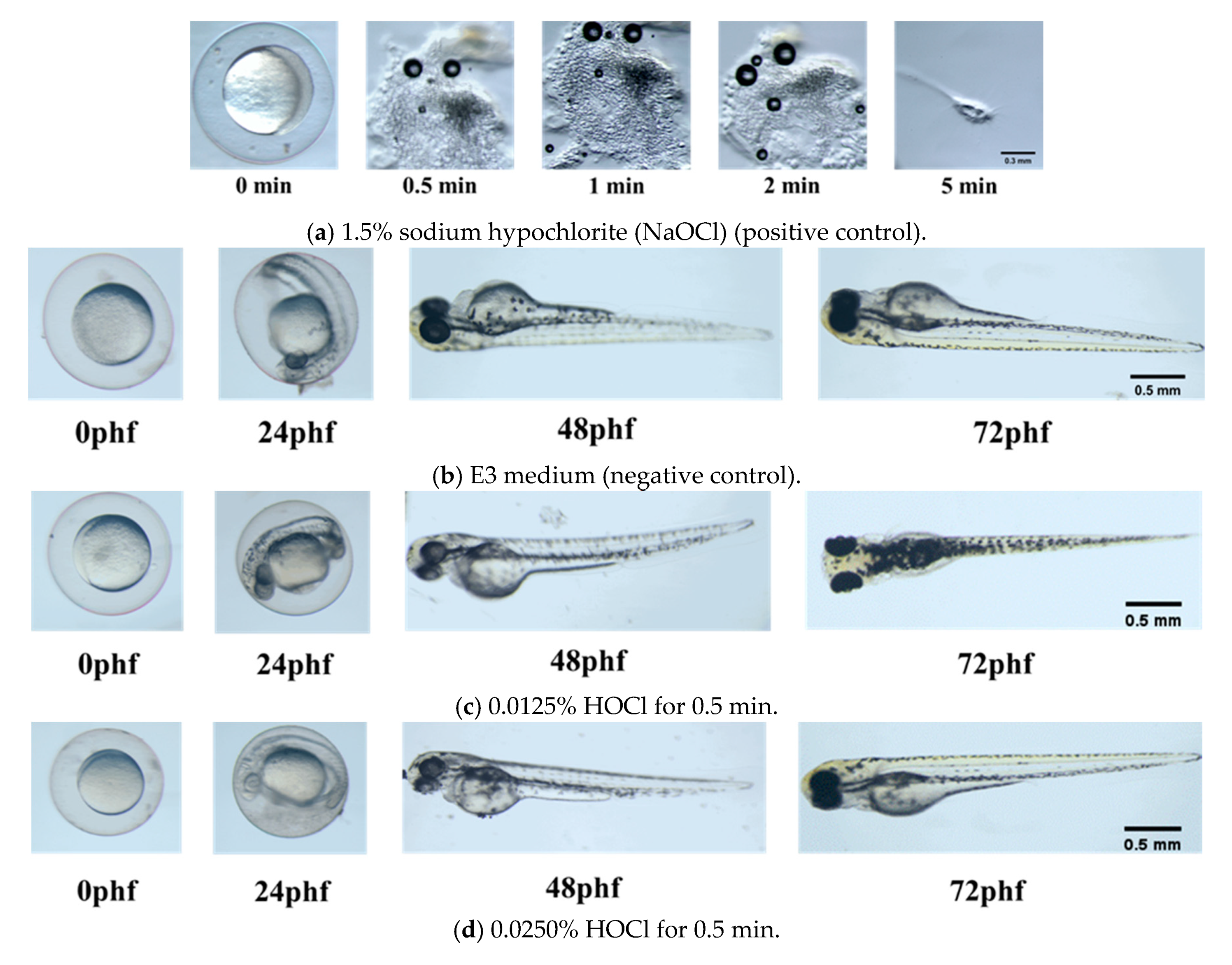 Materials 13 00260 g001 Materials 13 00260 g001