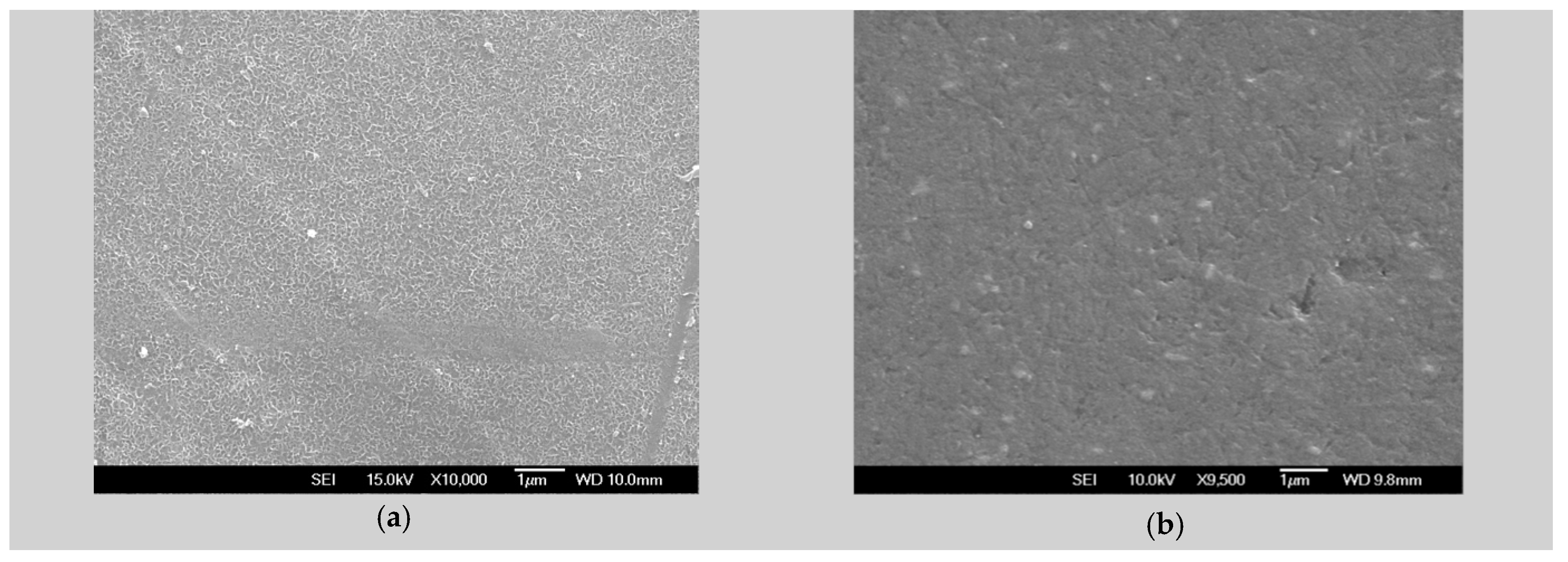 Materials 13 00263 g001 Materials 13 00263 g001