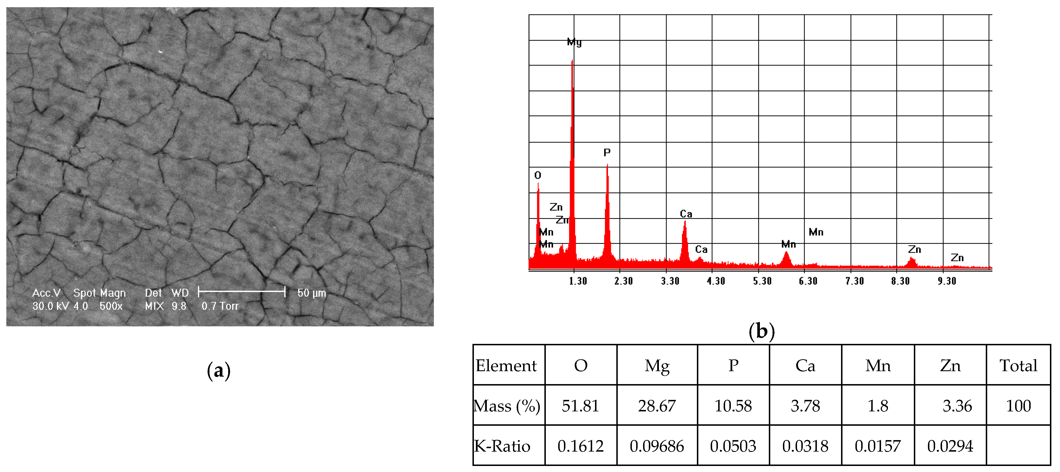Materials 13 00263 g003 Materials 13 00263 g003