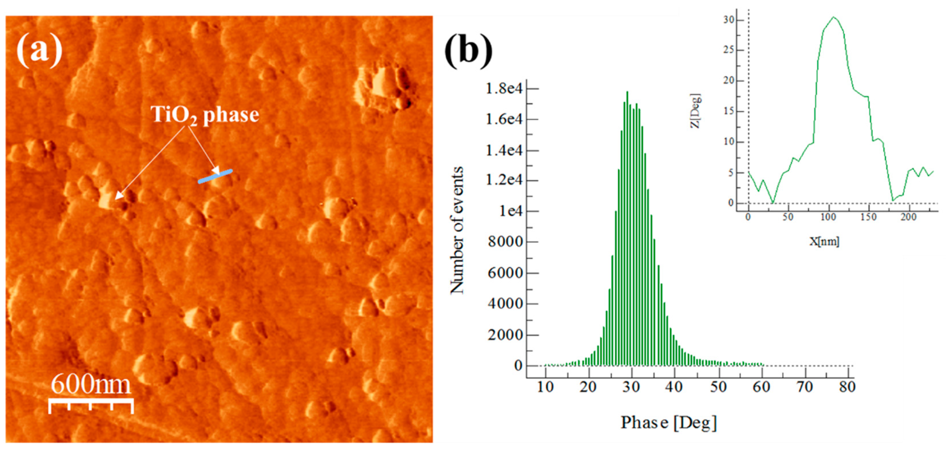 Materials 13 00272 g011 Materials 13 00272 g011