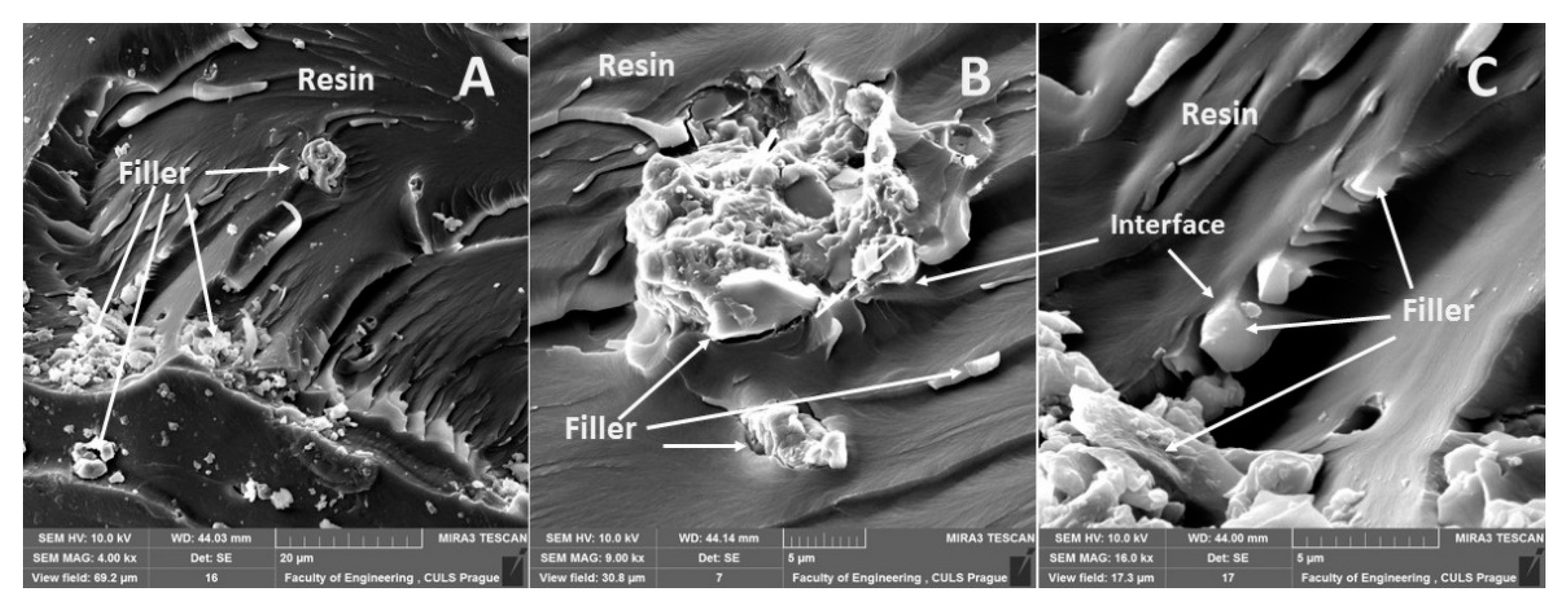 Materials 13 00291 g006