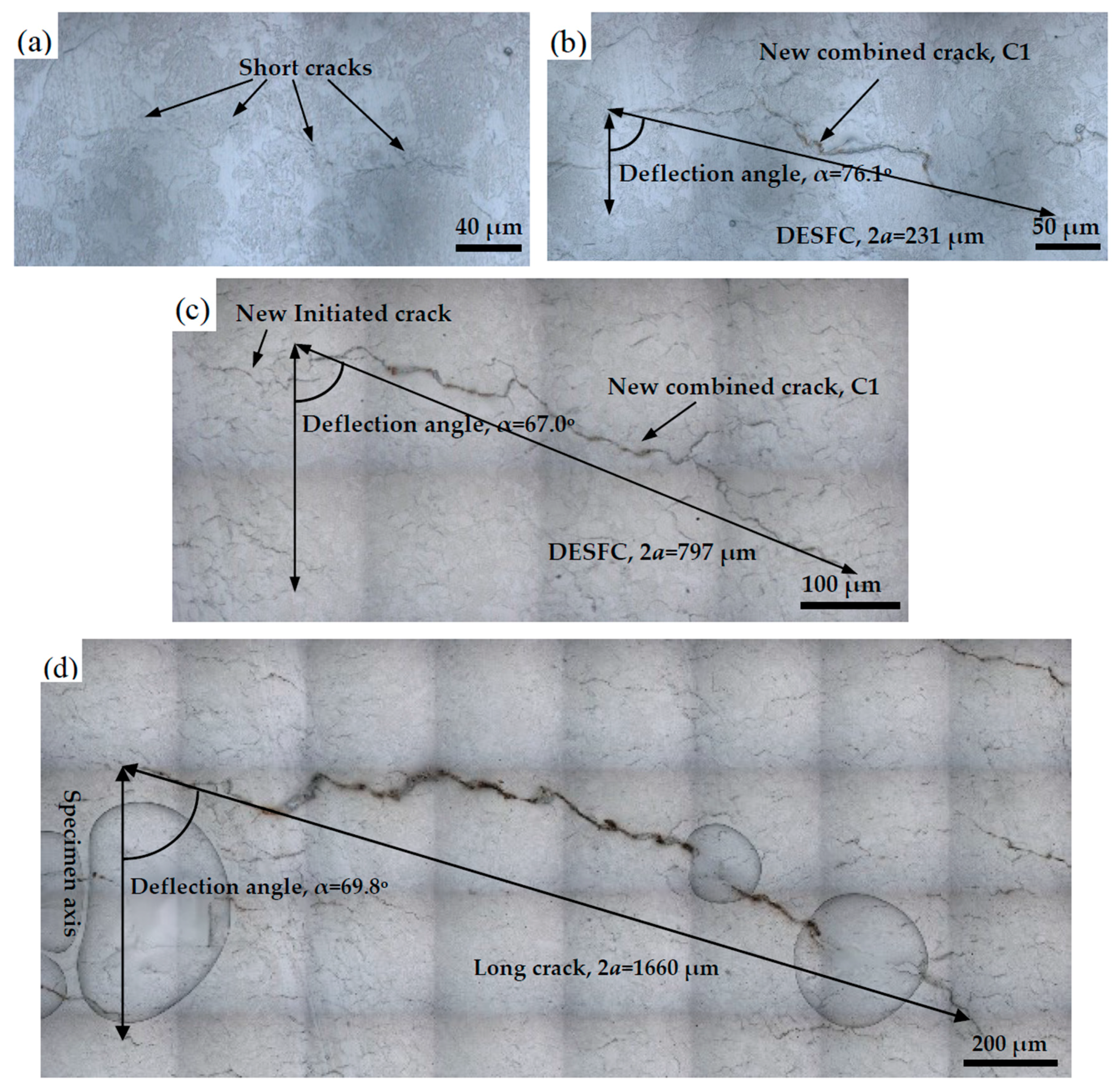Materials 13 00294 g008