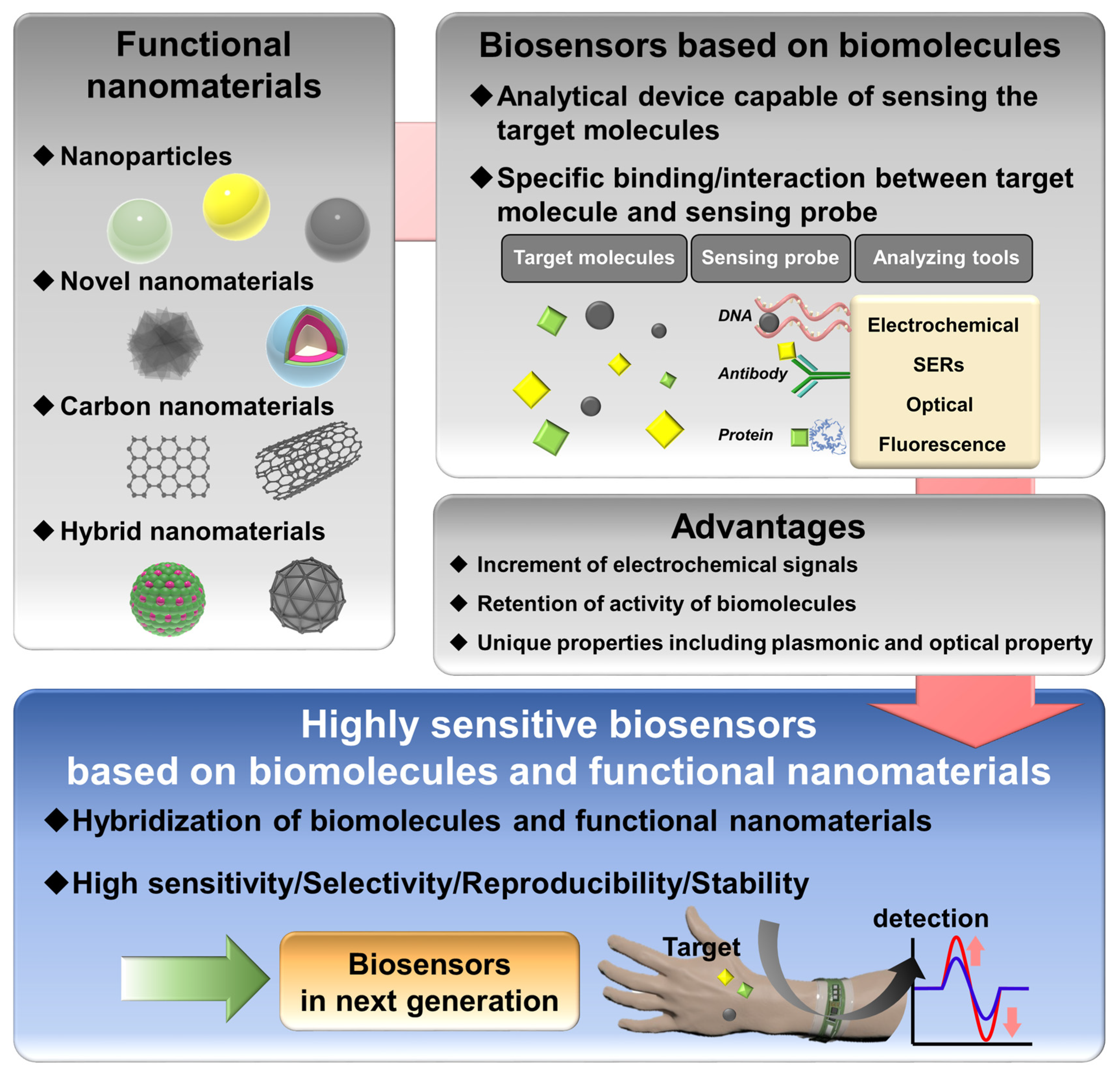 Highly Sensitive Biosensors Based On Biomolecules And Functional 