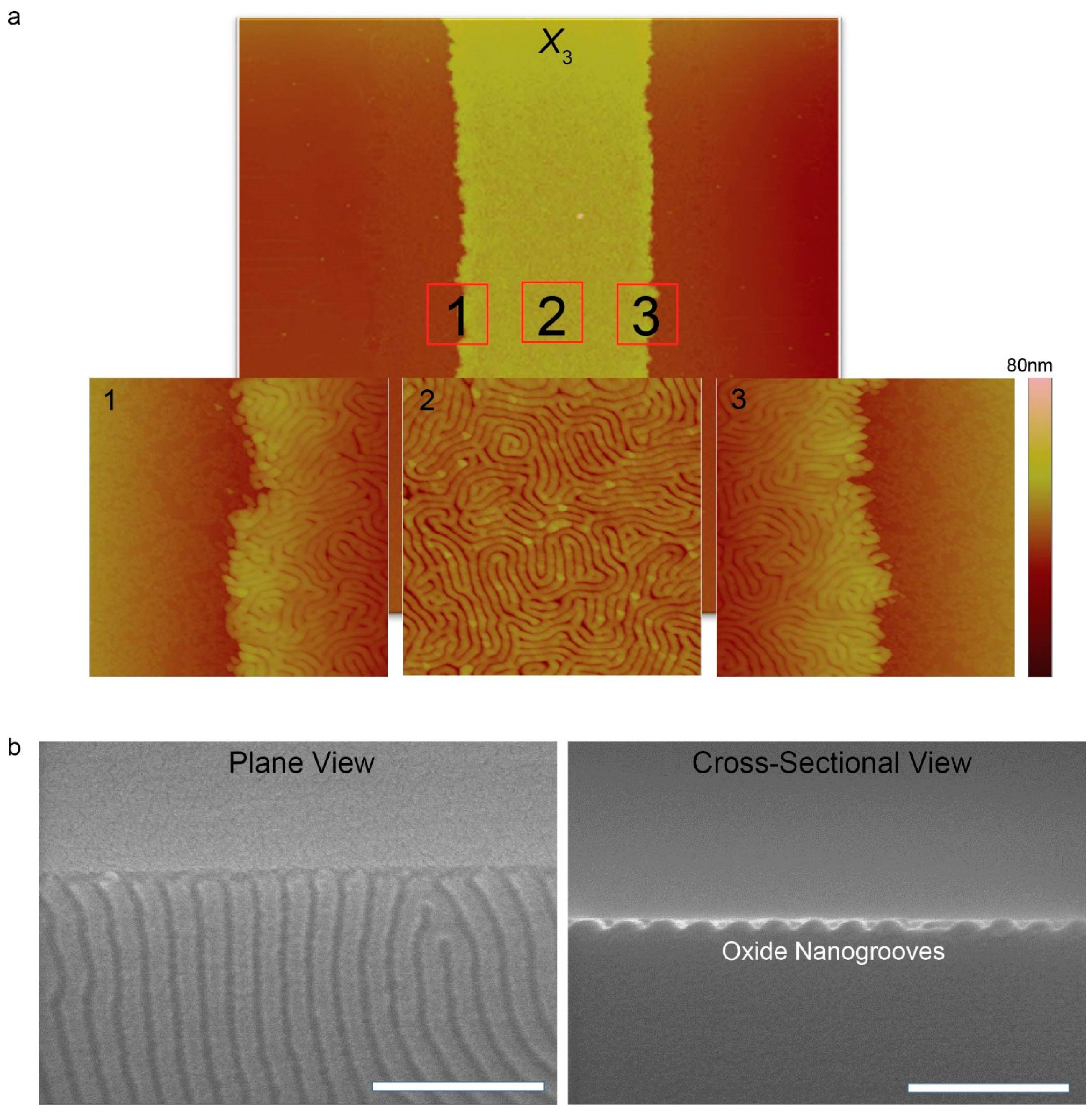 Materials 13 00304 g004 Materials 13 00304 g004