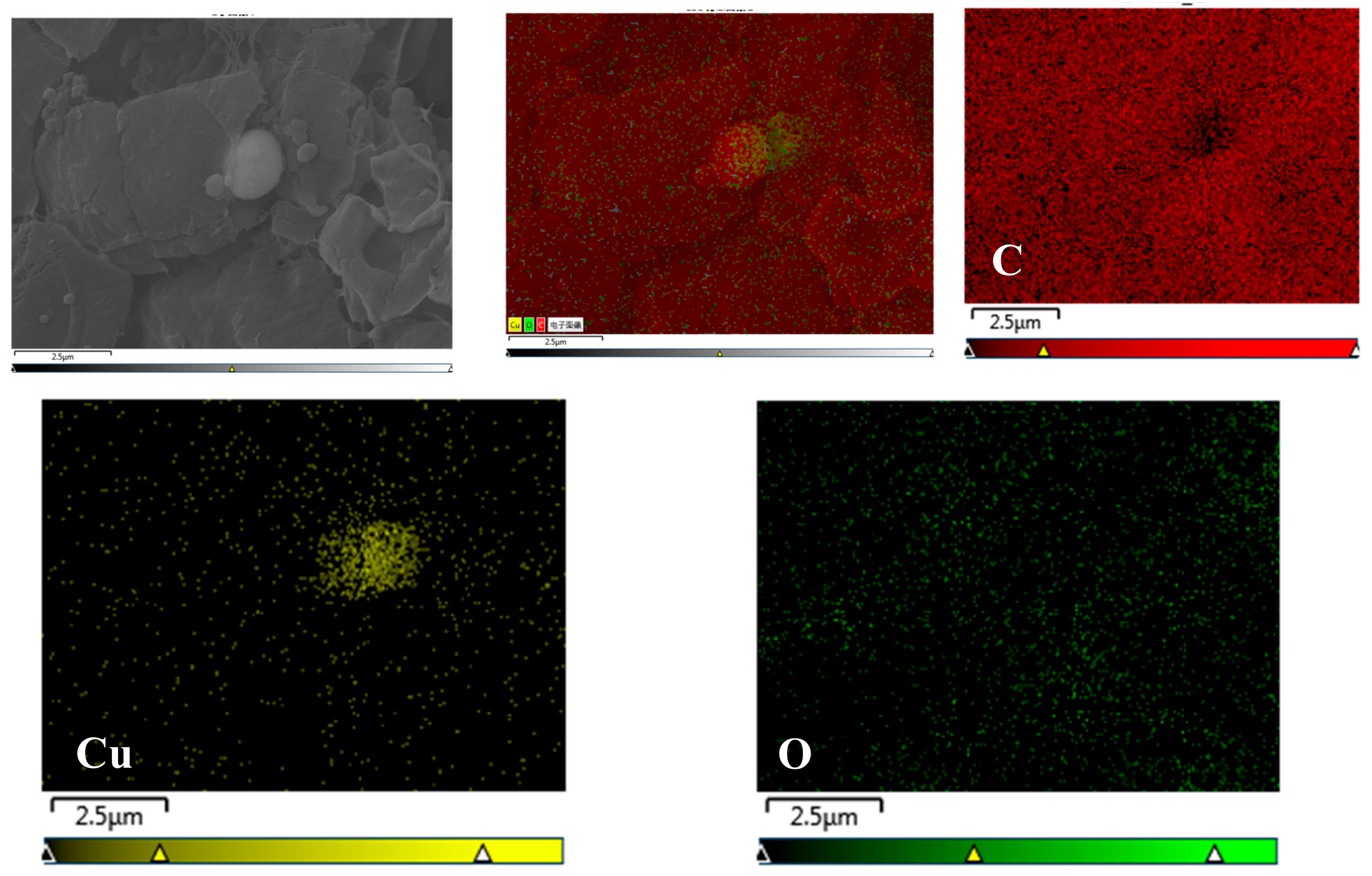 Materials 13 00309 g006 Materials 13 00309 g006