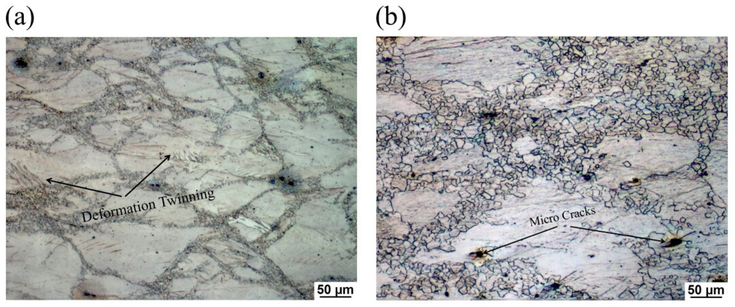 Hot Deformation Behaviors of the Mg-3Sn-2Al-1Zn Alloy