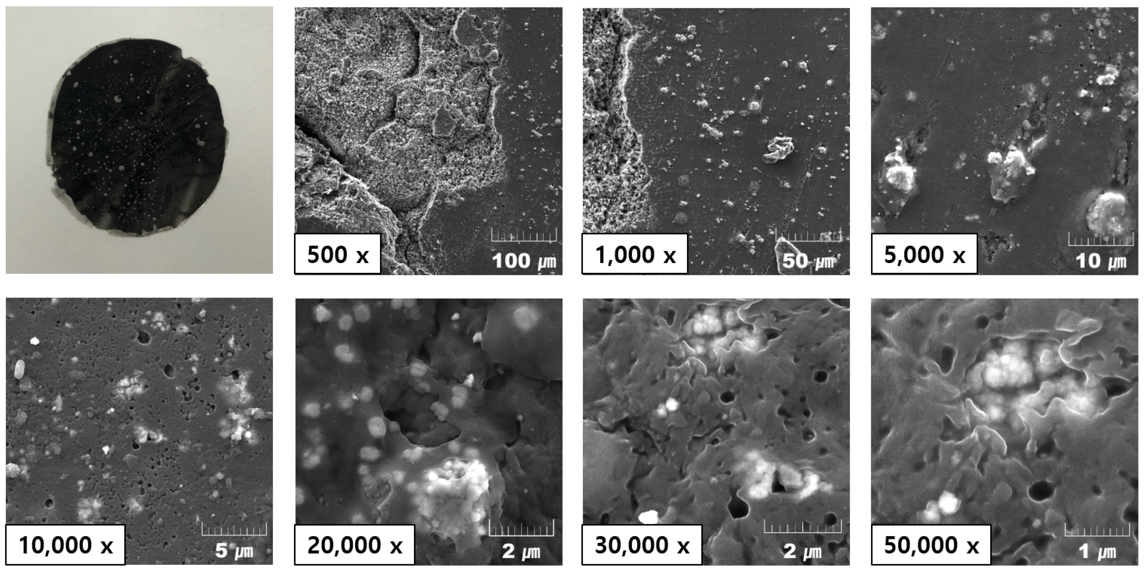 Materials 13 00318 g005 Materials 13 00318 g005