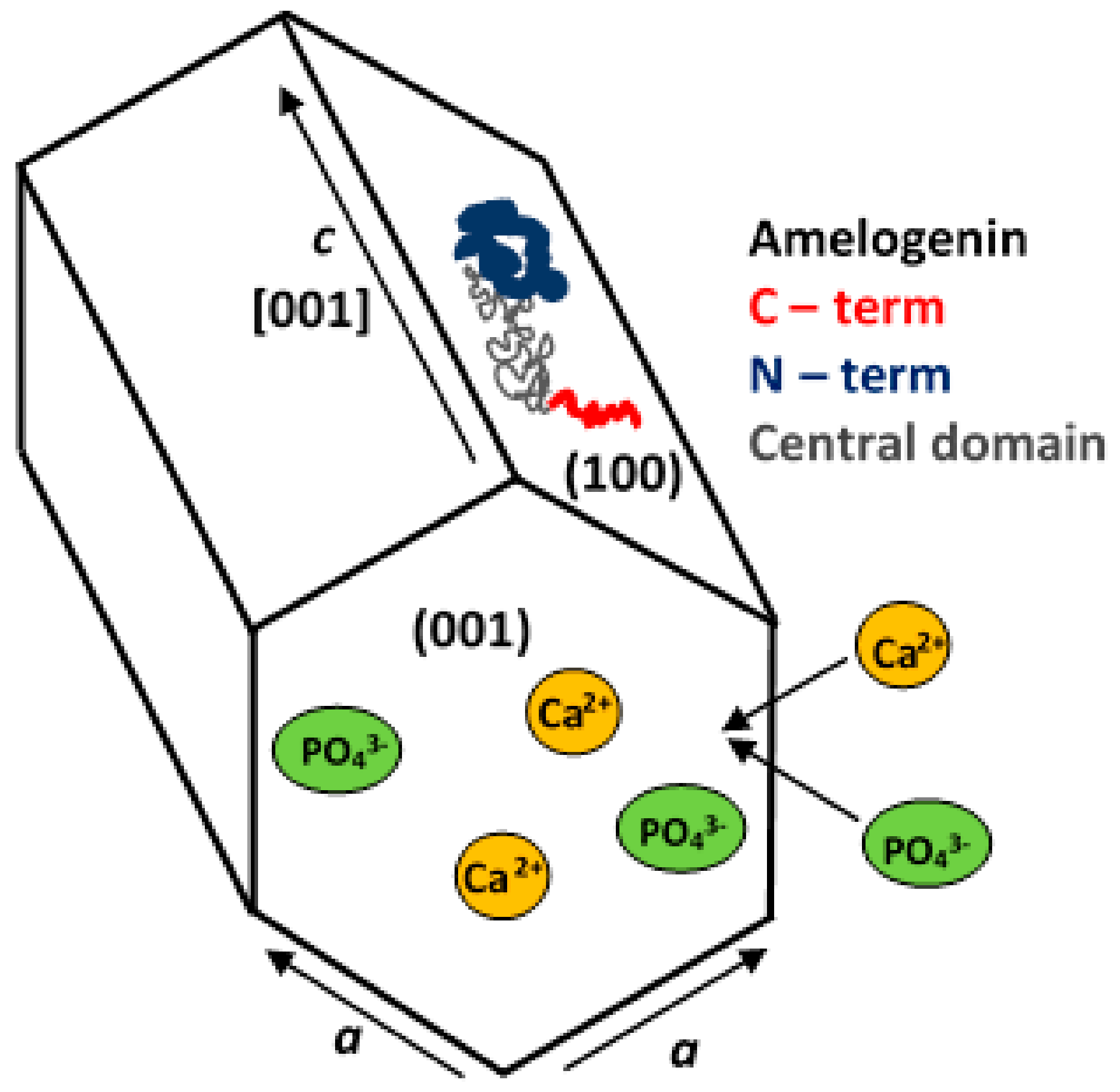 Materials 13 00327 g006 Materials 13 00327 g006