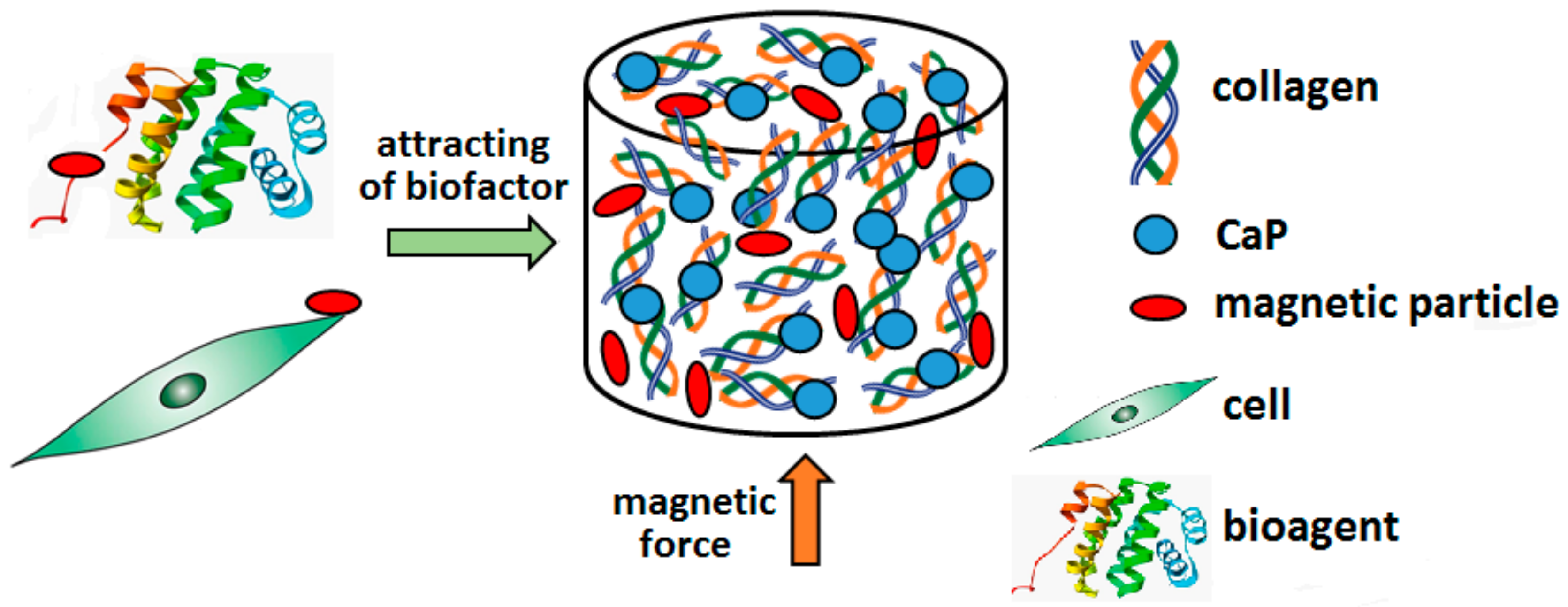 Materials 13 00327 g008 Materials 13 00327 g008