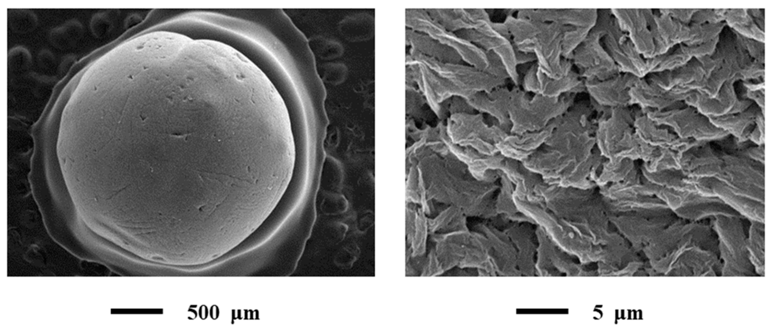 Materials 13 00329 g006