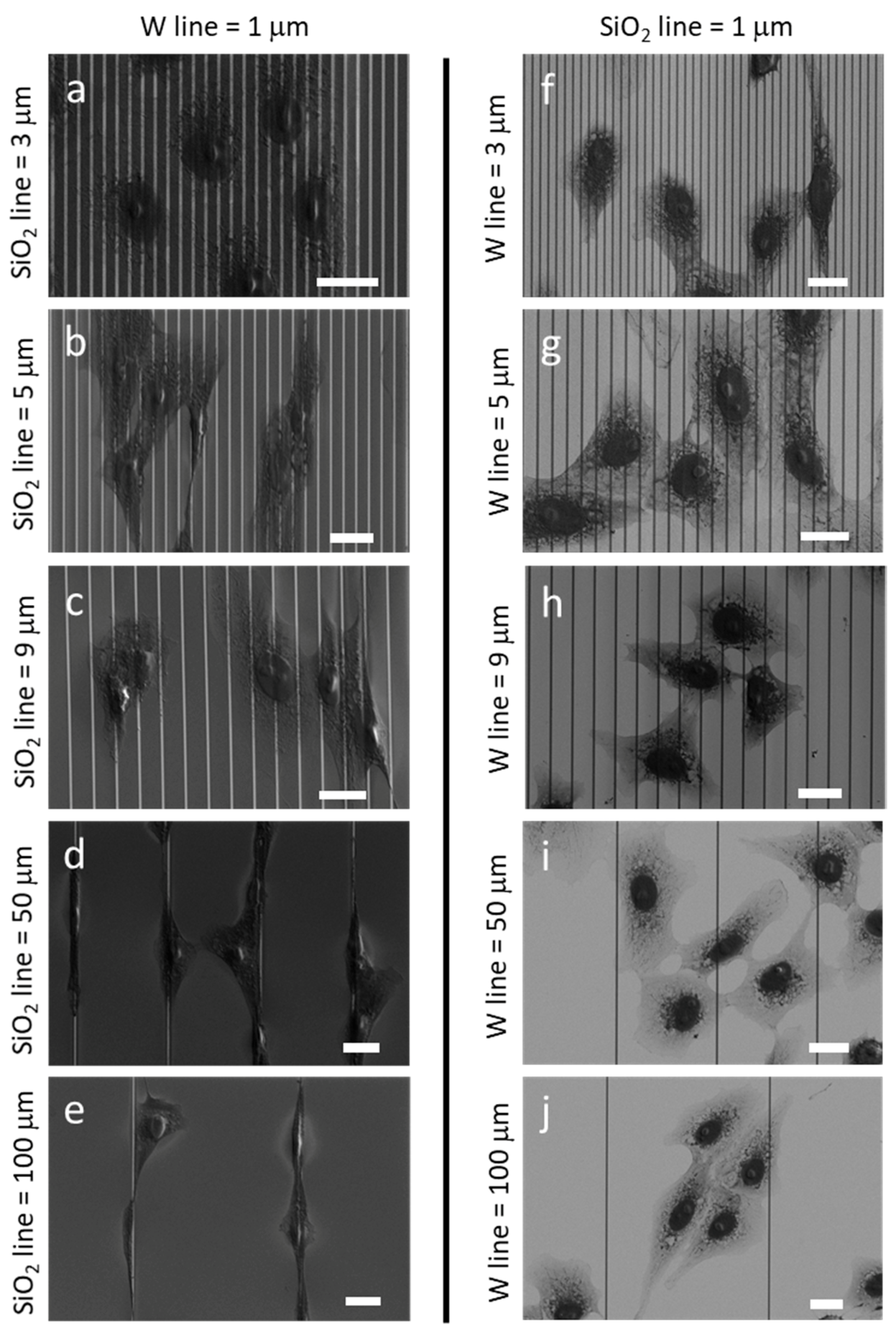Materials 13 00335 g002 Materials 13 00335 g002