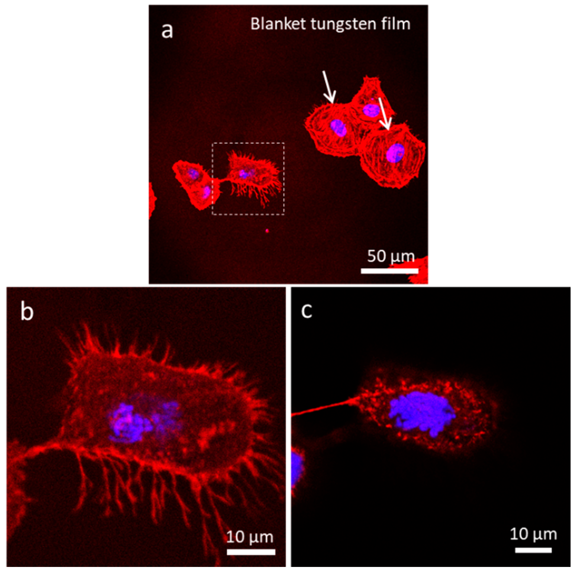 Materials 13 00335 g006 Materials 13 00335 g006