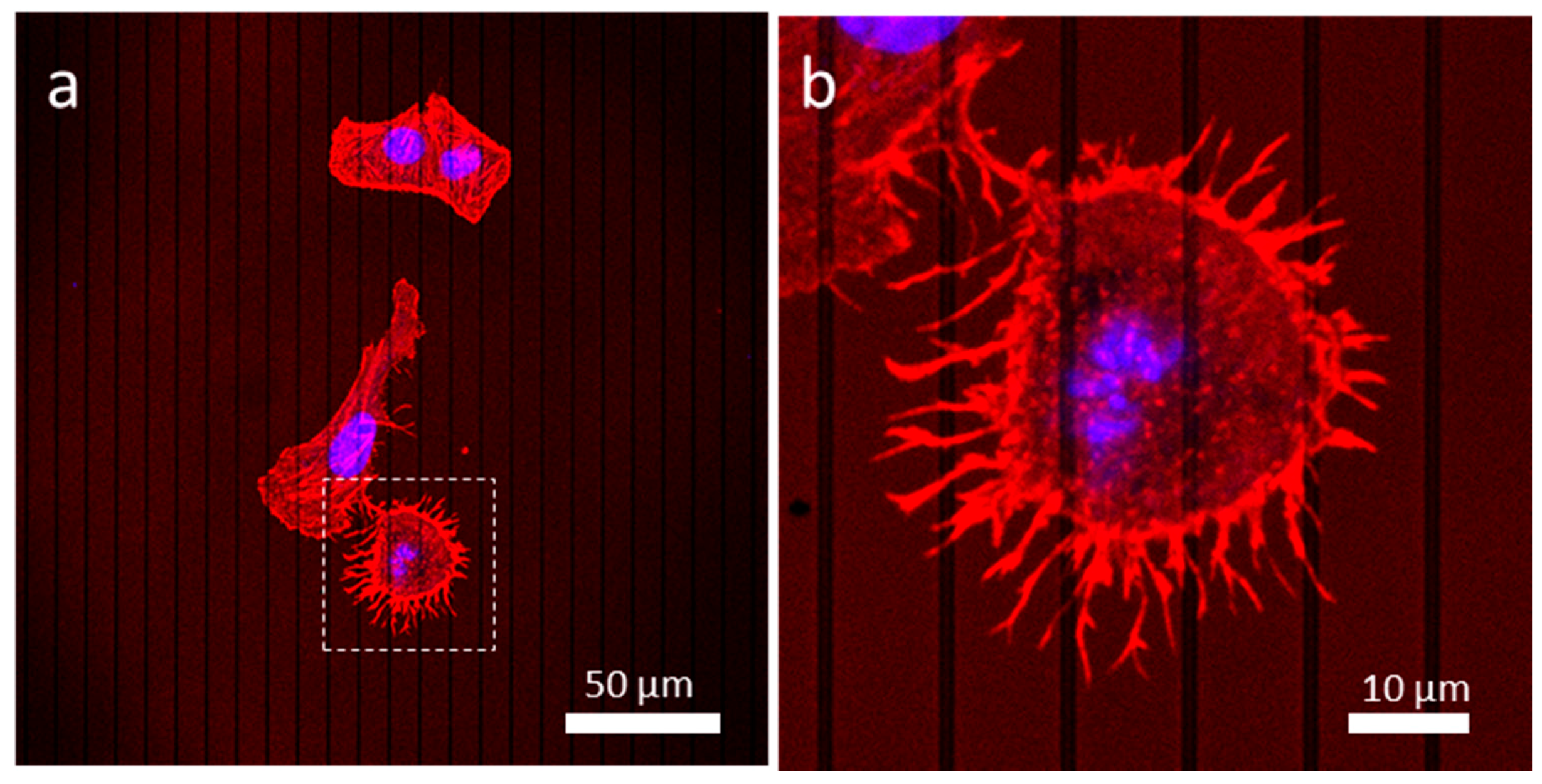 Materials 13 00335 g007 Materials 13 00335 g007