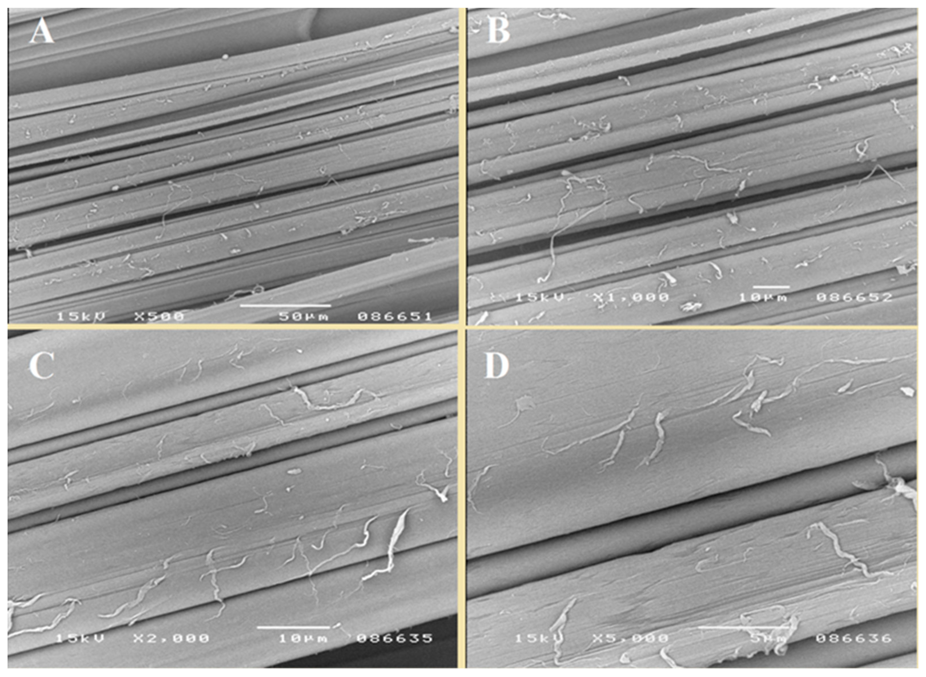 Materials 13 00337 g005 Materials 13 00337 g005