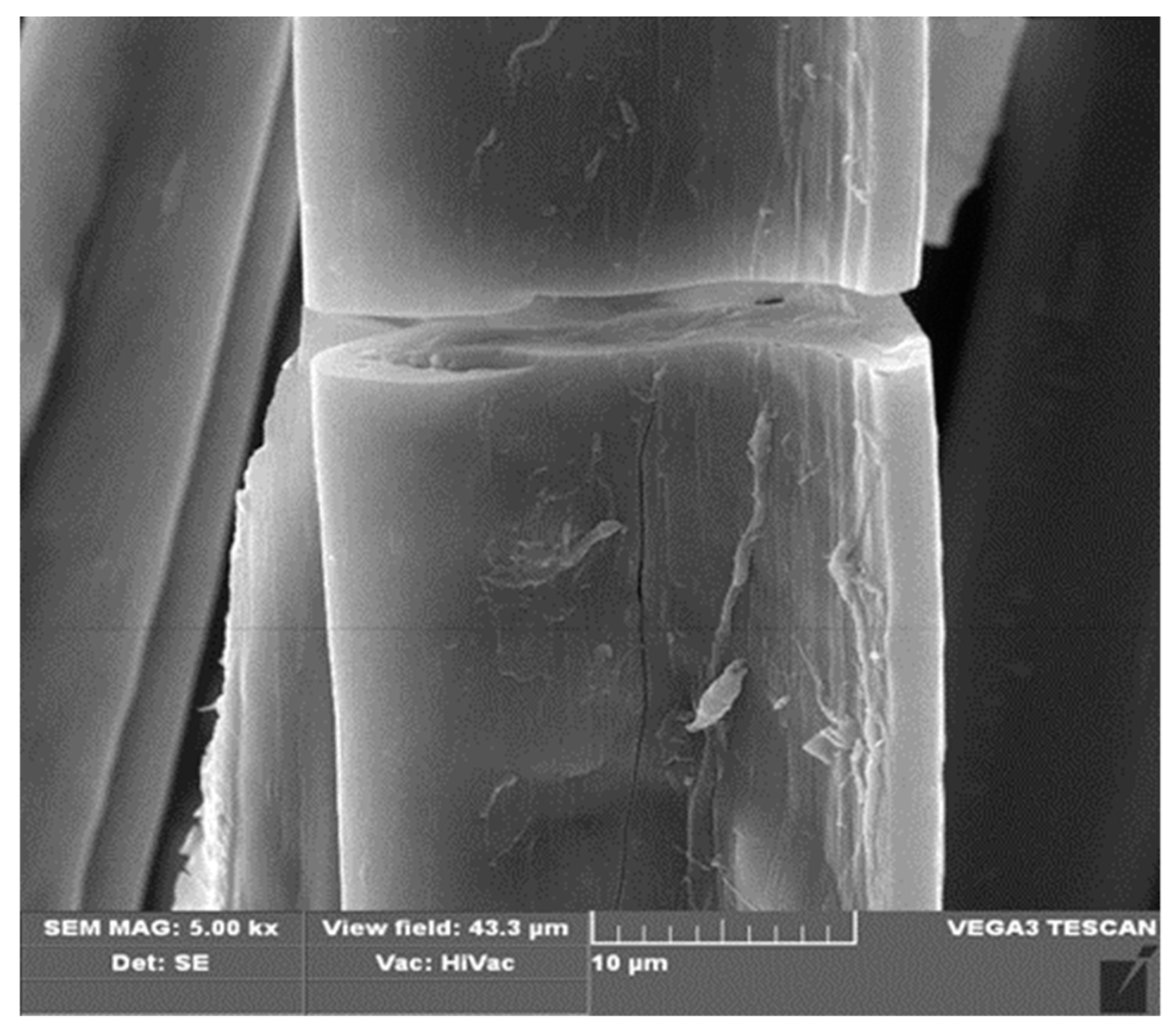 Materials 13 00337 g006a Materials 13 00337 g006a