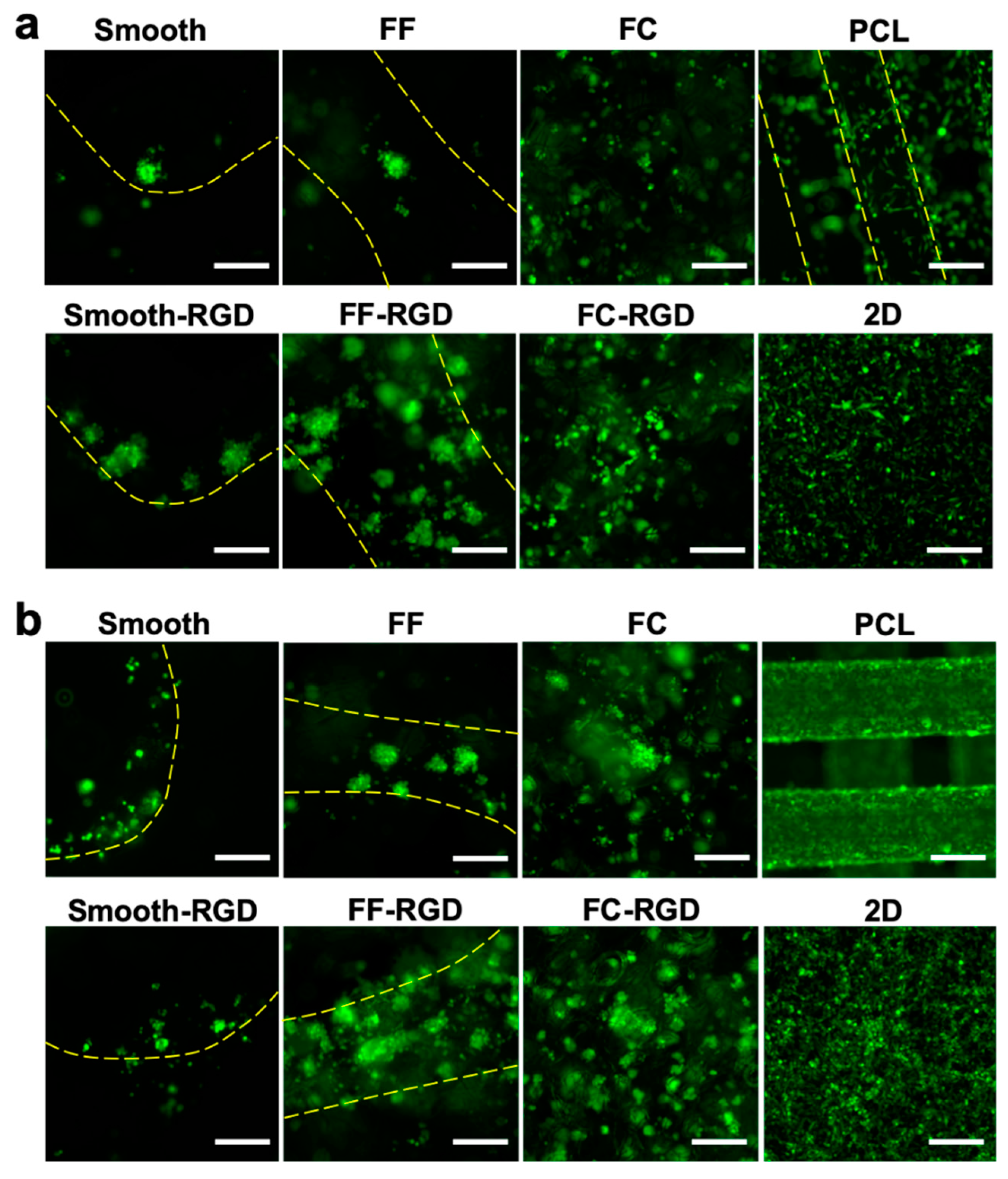 Materials 13 00354 g009 Materials 13 00354 g009