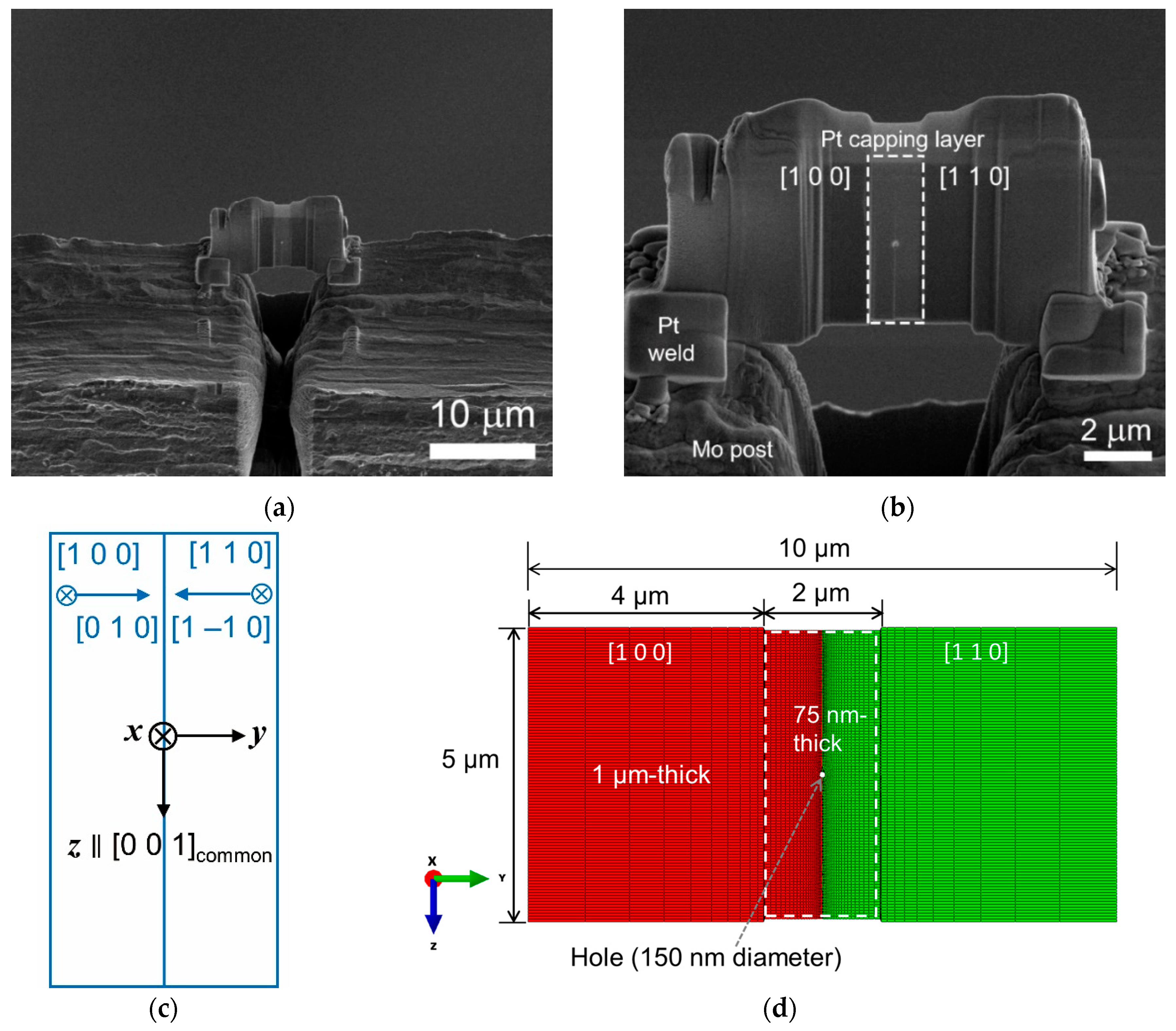 Materials 13 00360 g001
