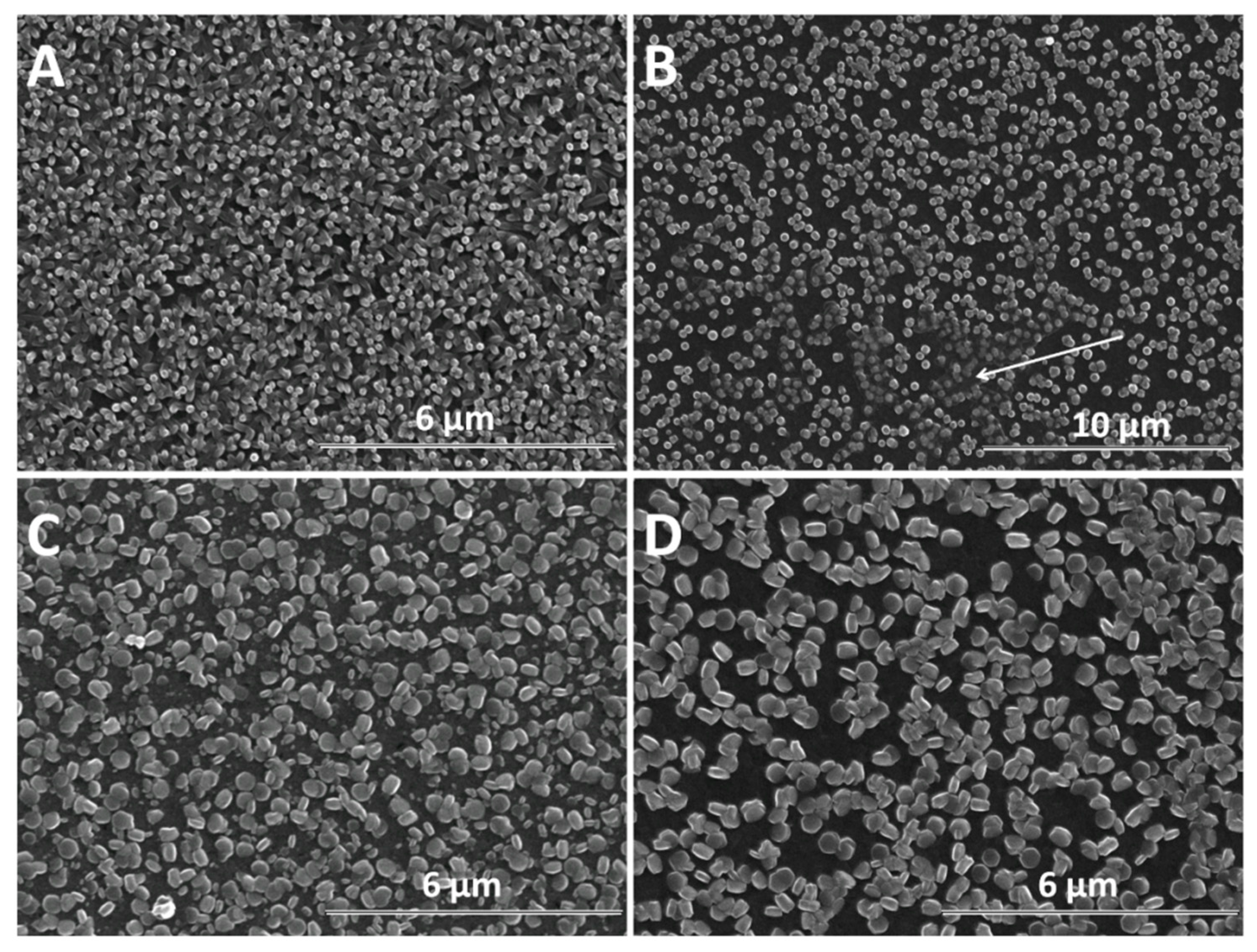 Materials 13 00365 g004