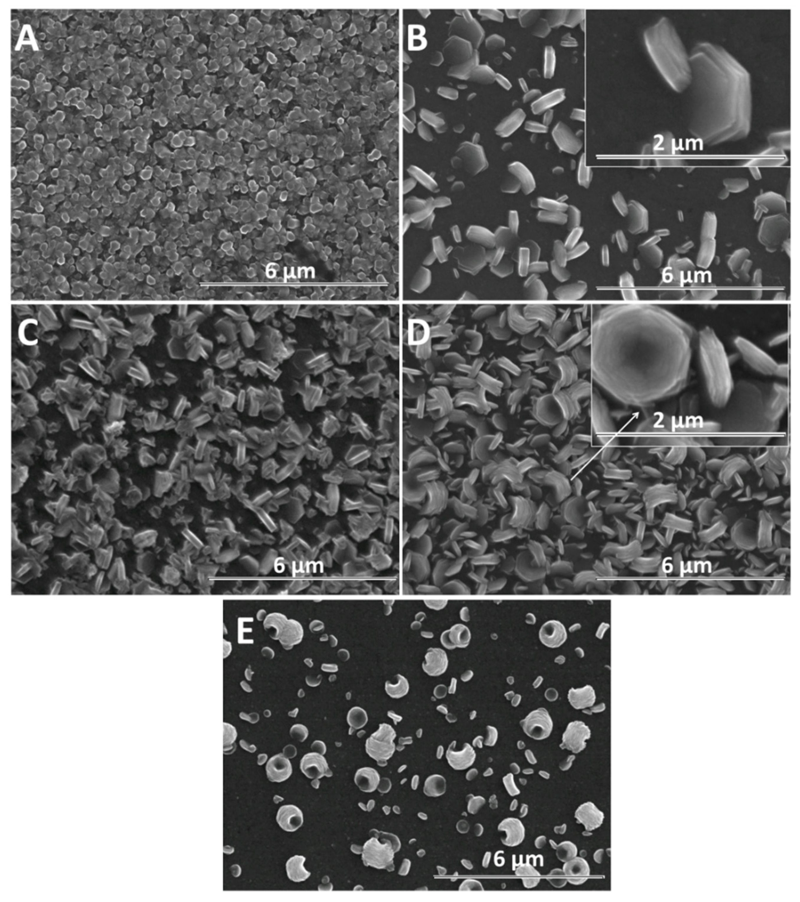 Materials 13 00365 g006
