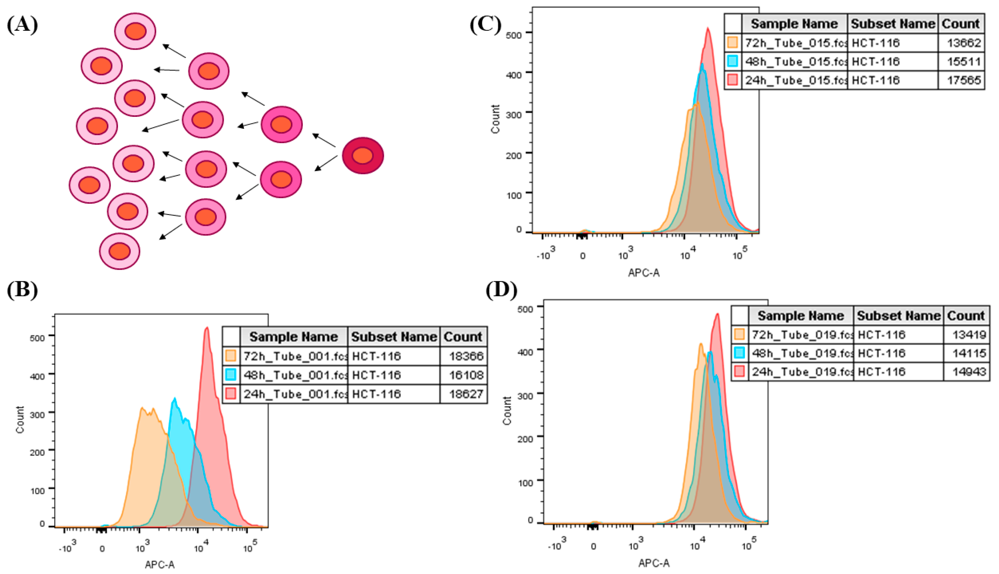 Materials 13 00375 g005 Materials 13 00375 g005