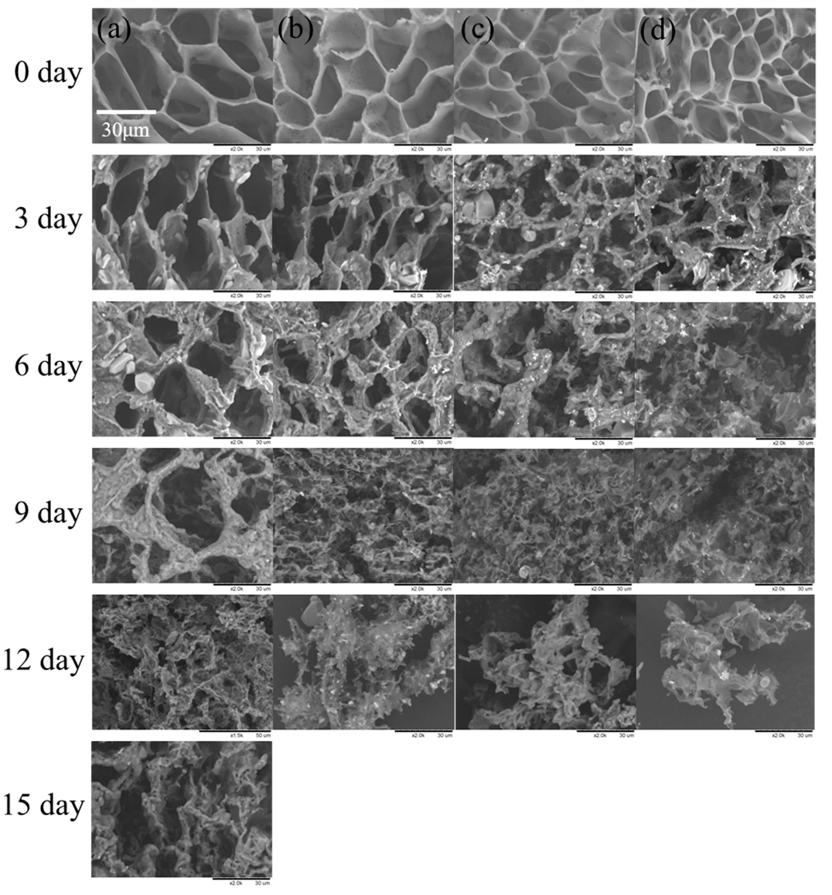 Materials 13 00376 g008