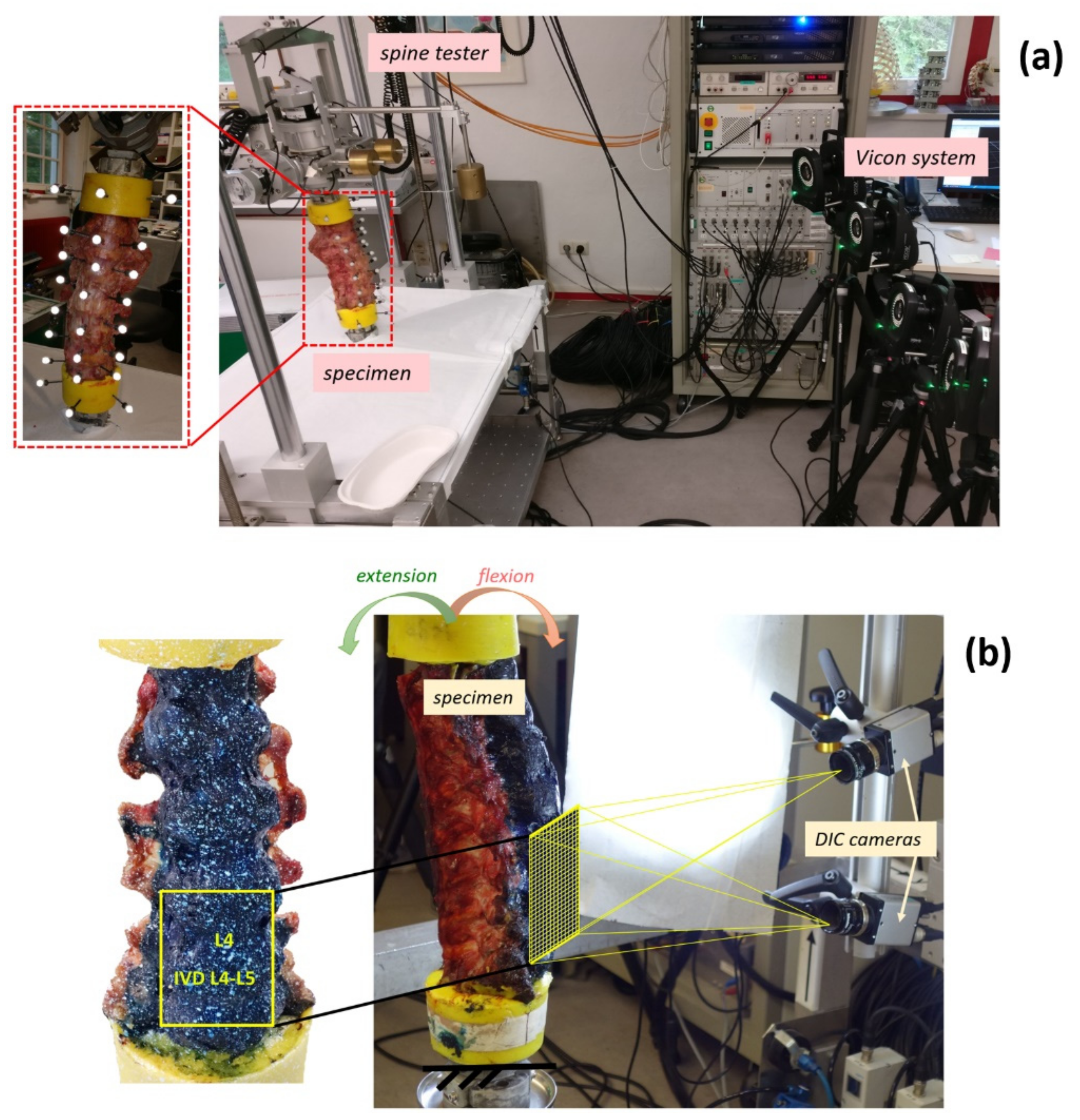 Materials 13 00384 g001 Materials 13 00384 g001